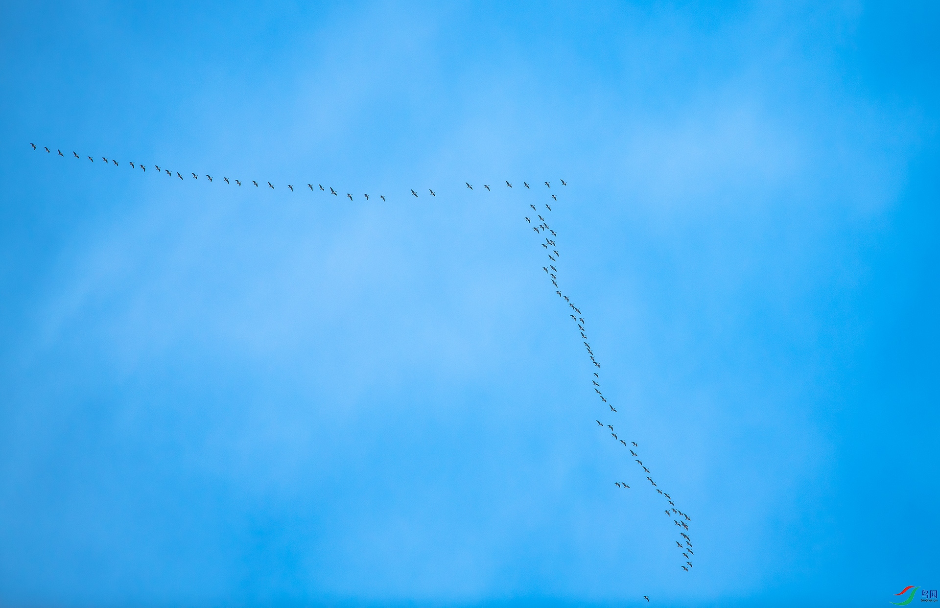 DSC_5701.jpg
