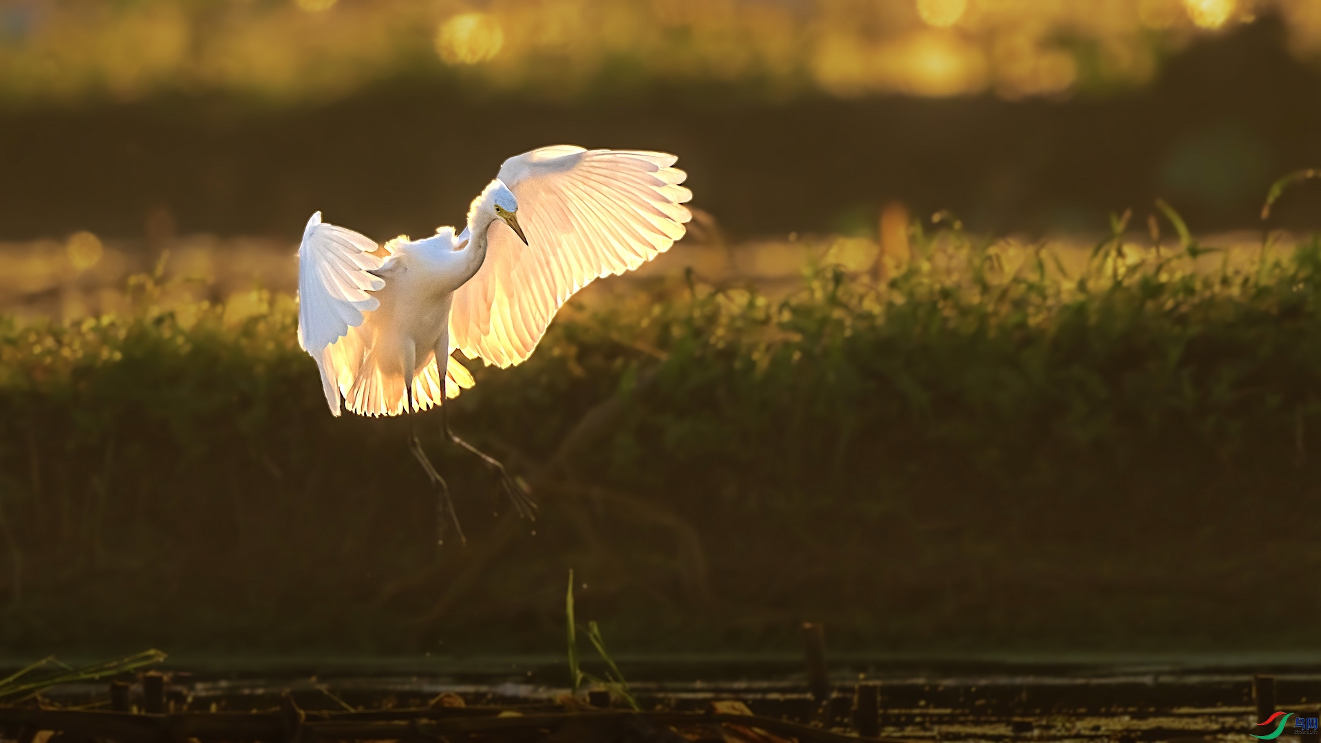 1_XXL0410-1 ����.jpeg