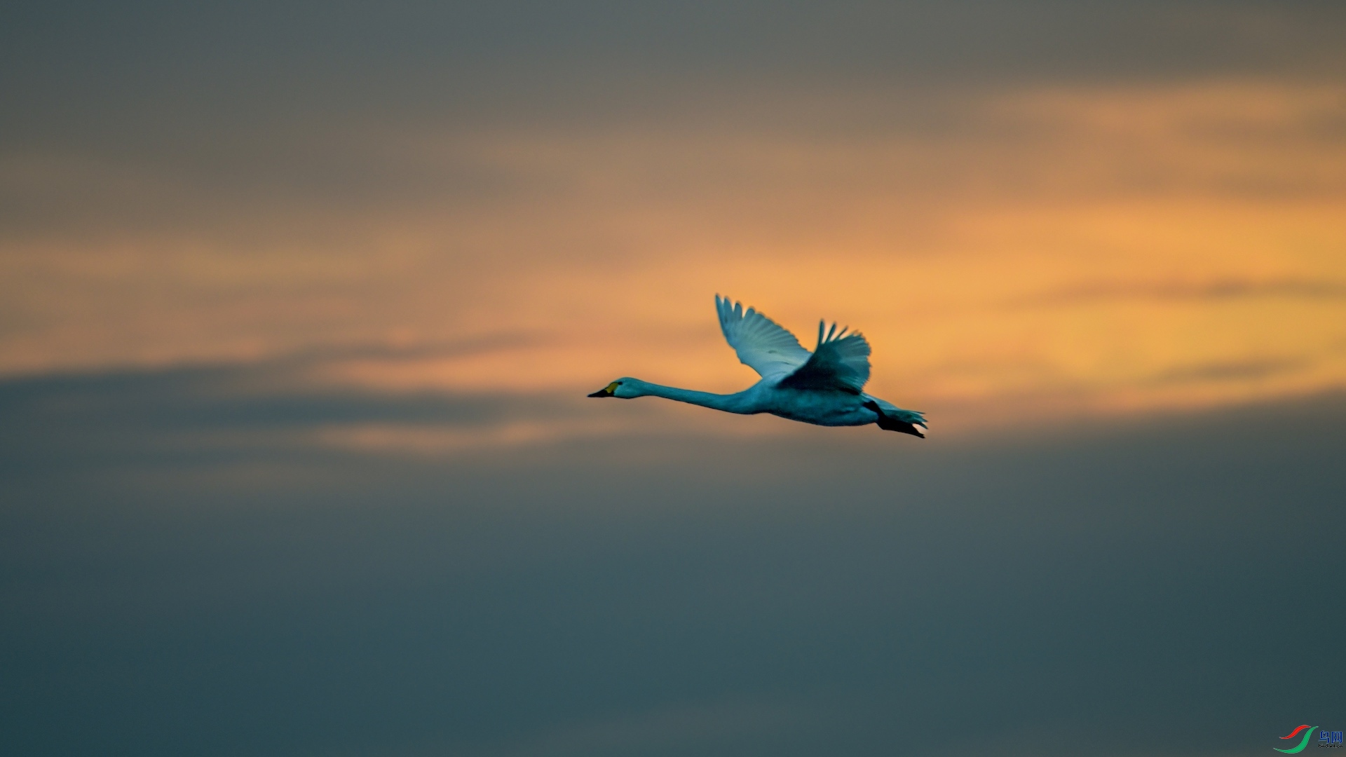 1XXL_1928 ����.jpeg