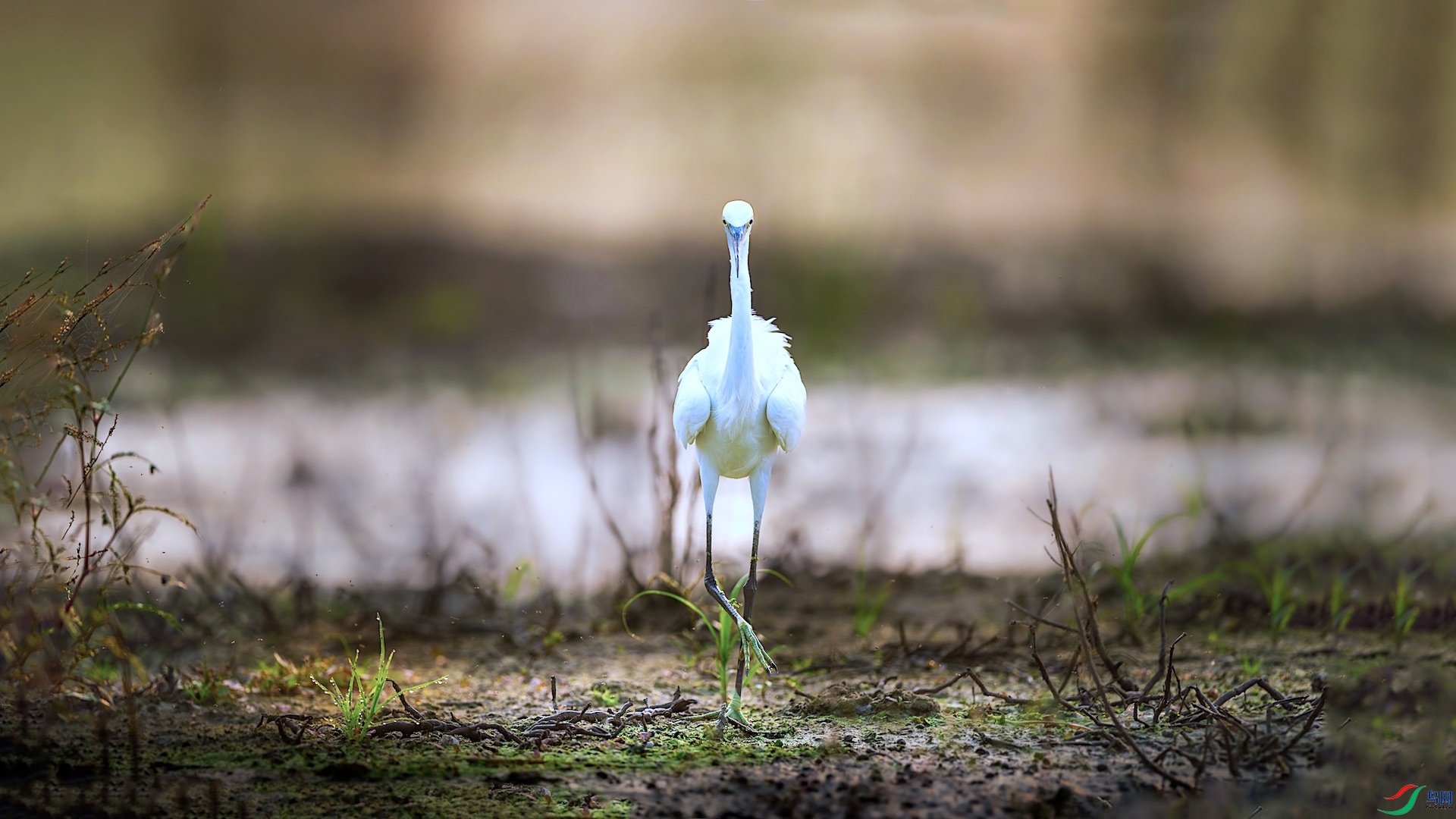 1XXL_7047-����ǿ-NR ���� 2.jpeg