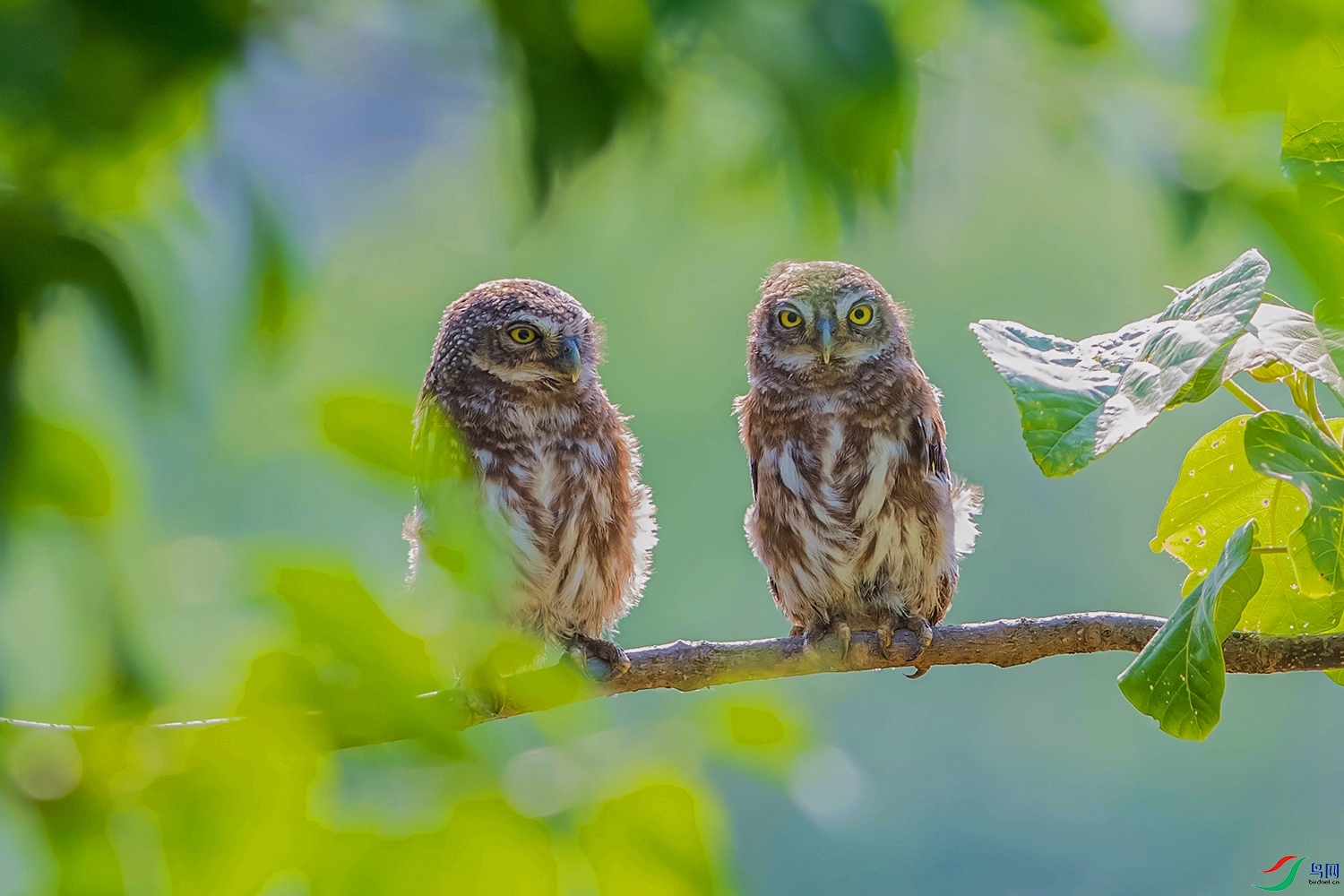 DSC_1901.jpg