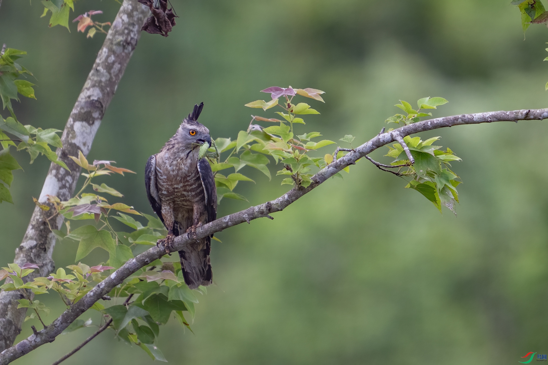 DSC_4073-1.jpg