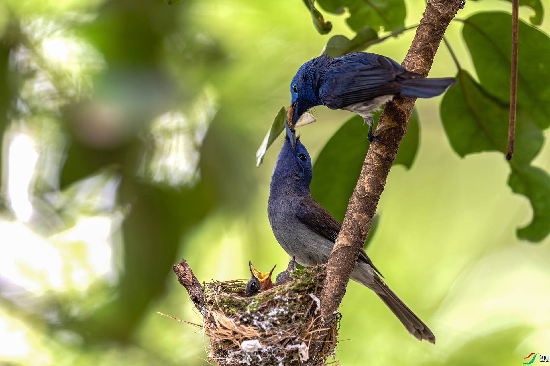 _XQG8255-1����ǿ-NR ����.jpg