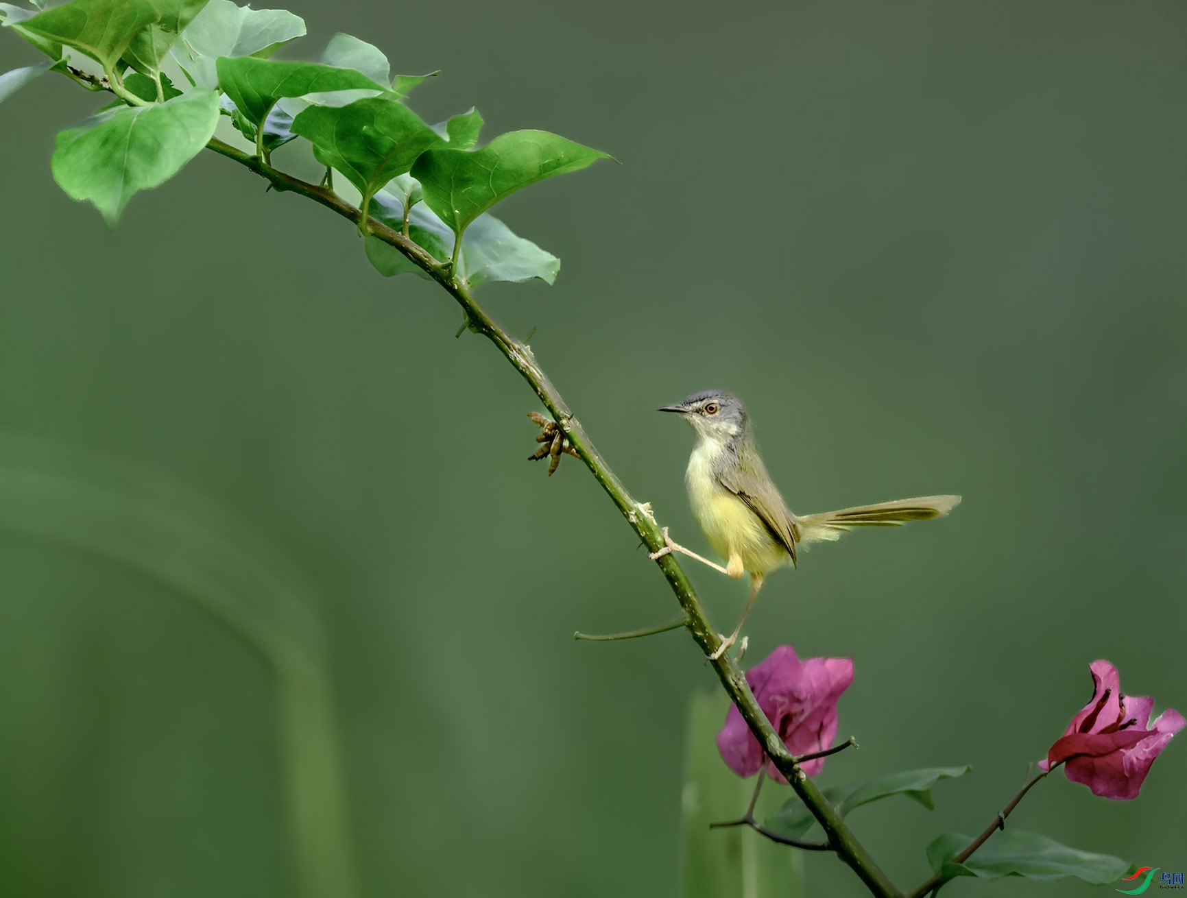 �ּ�����