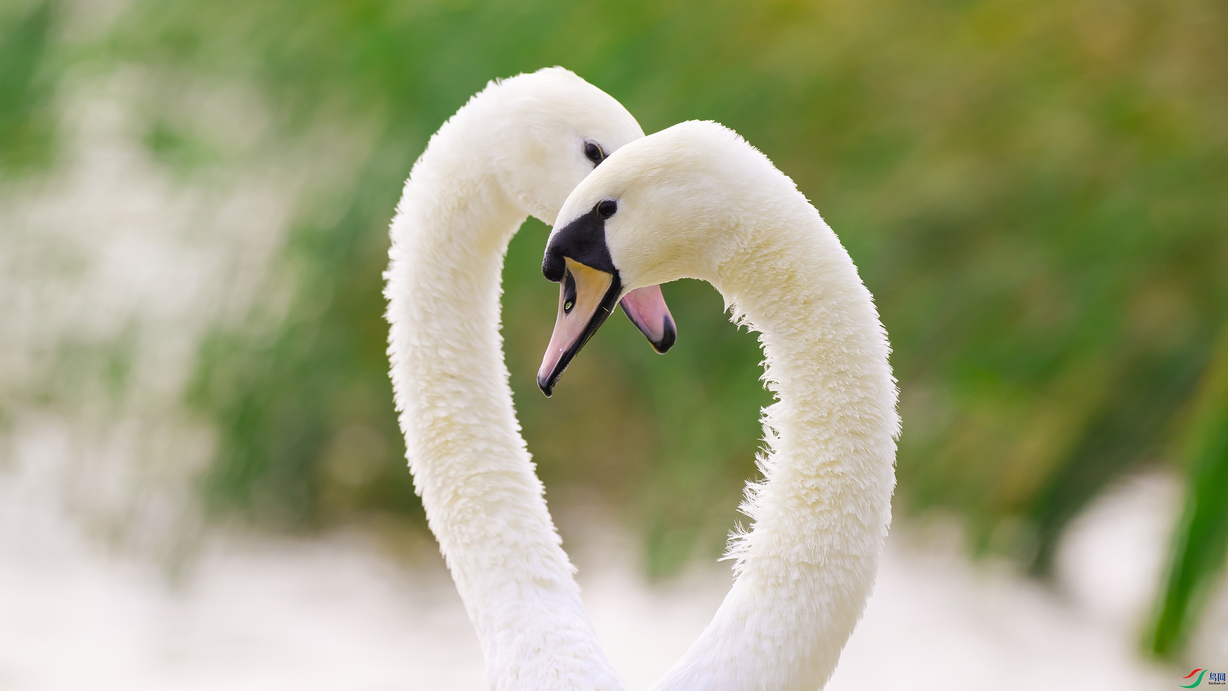 DSC_0344 ���� 2.jpg