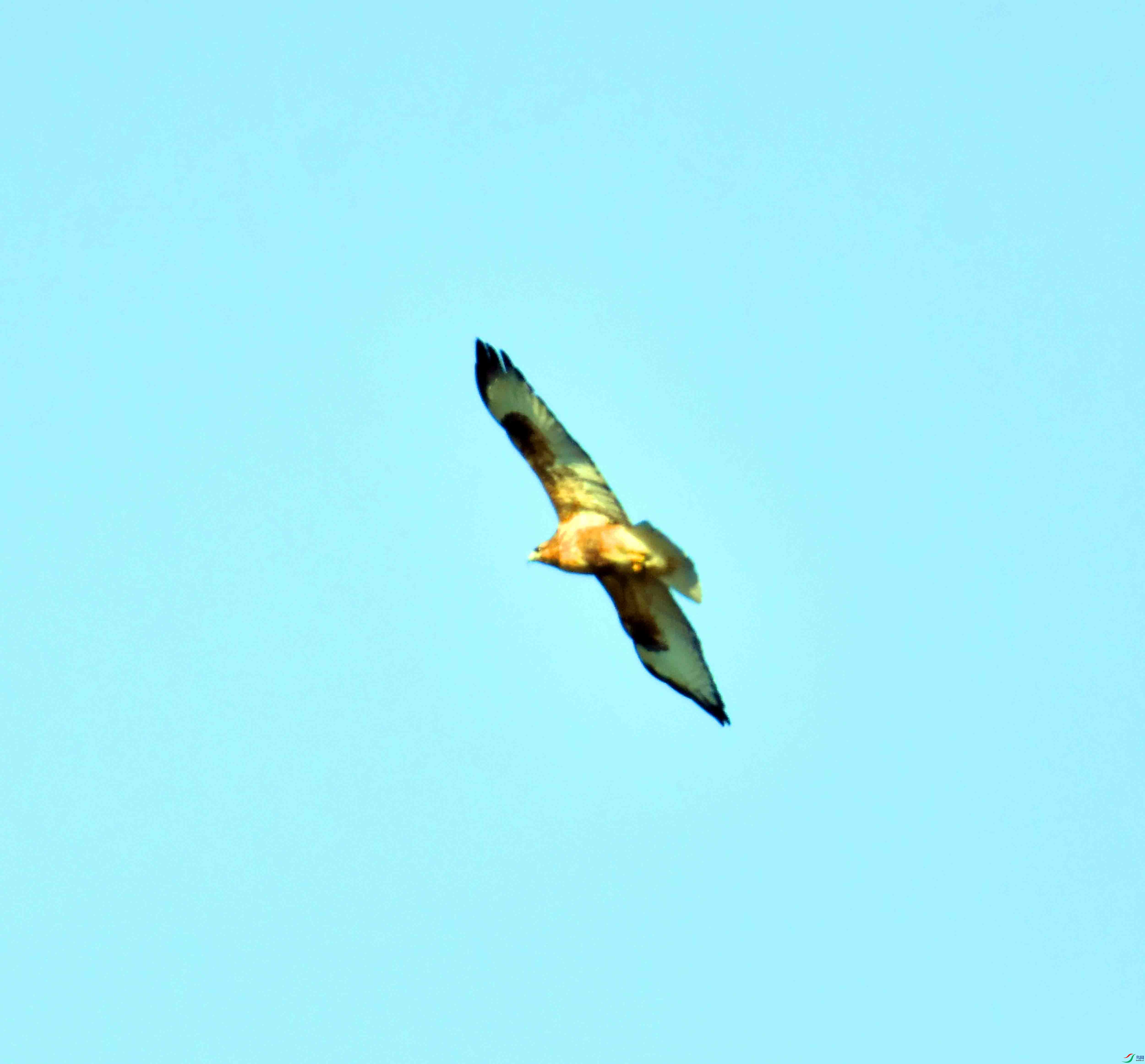 DSC_0327.JPG
