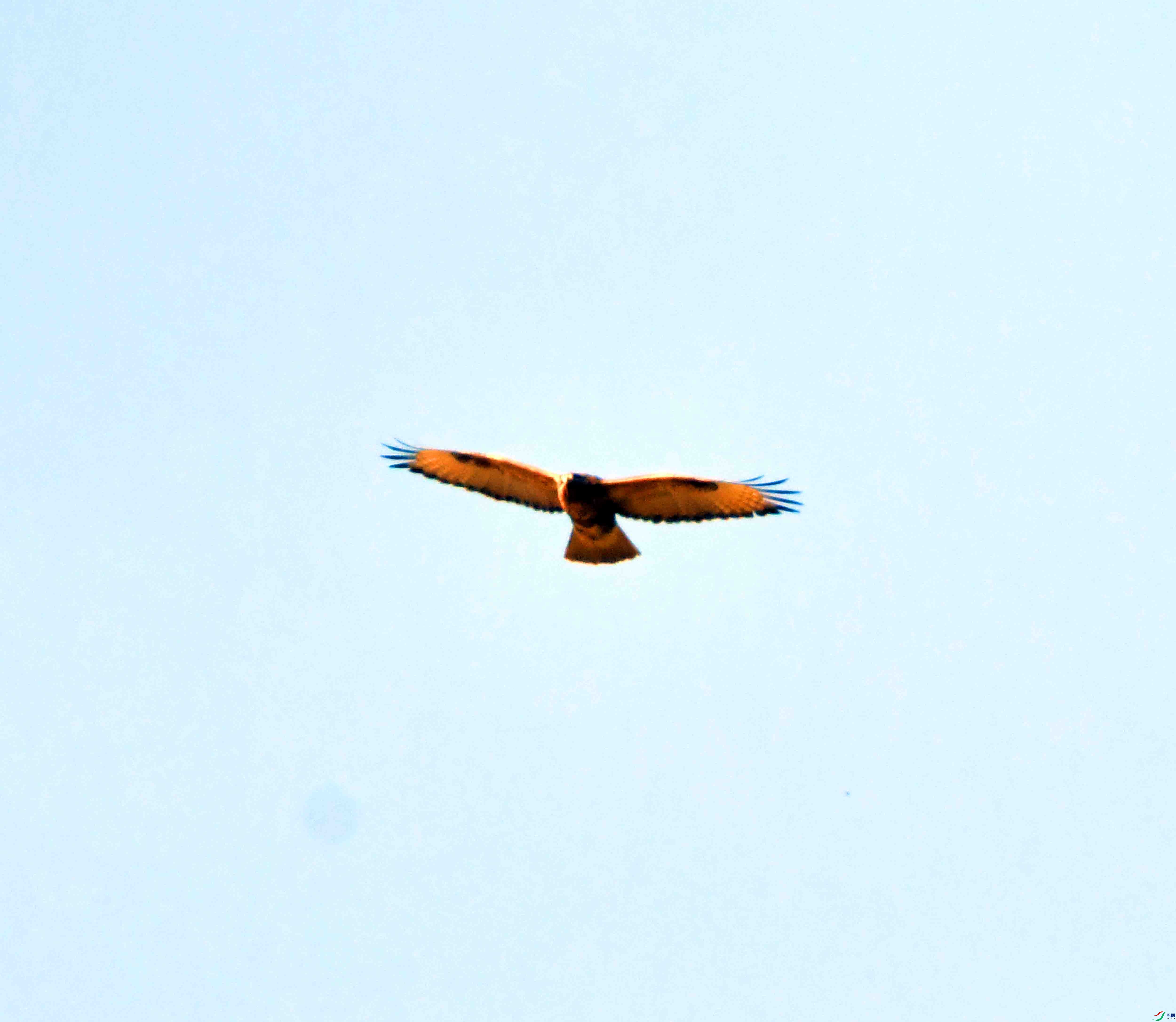 DSC_0373.JPG