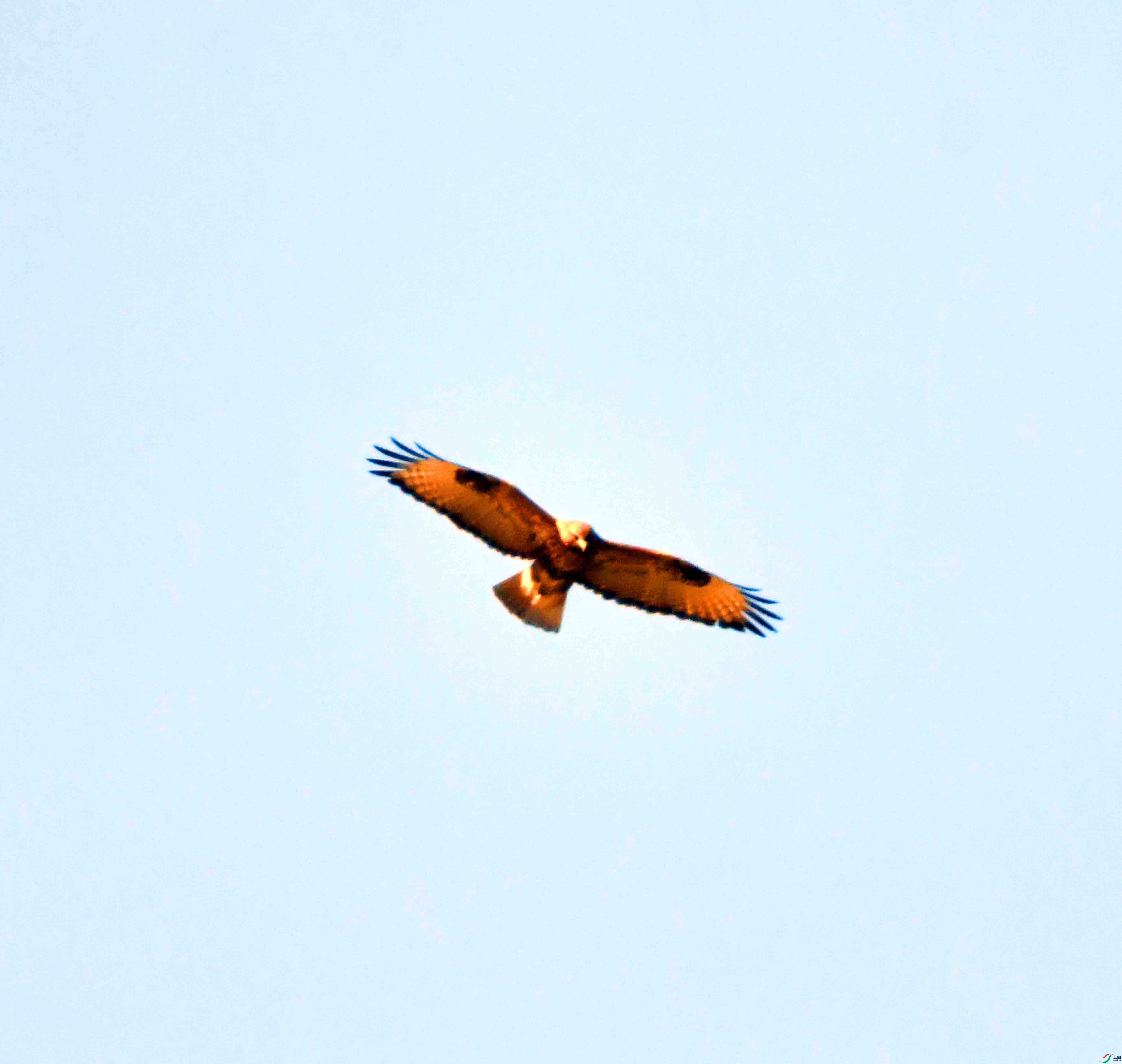 DSC_0375.JPG