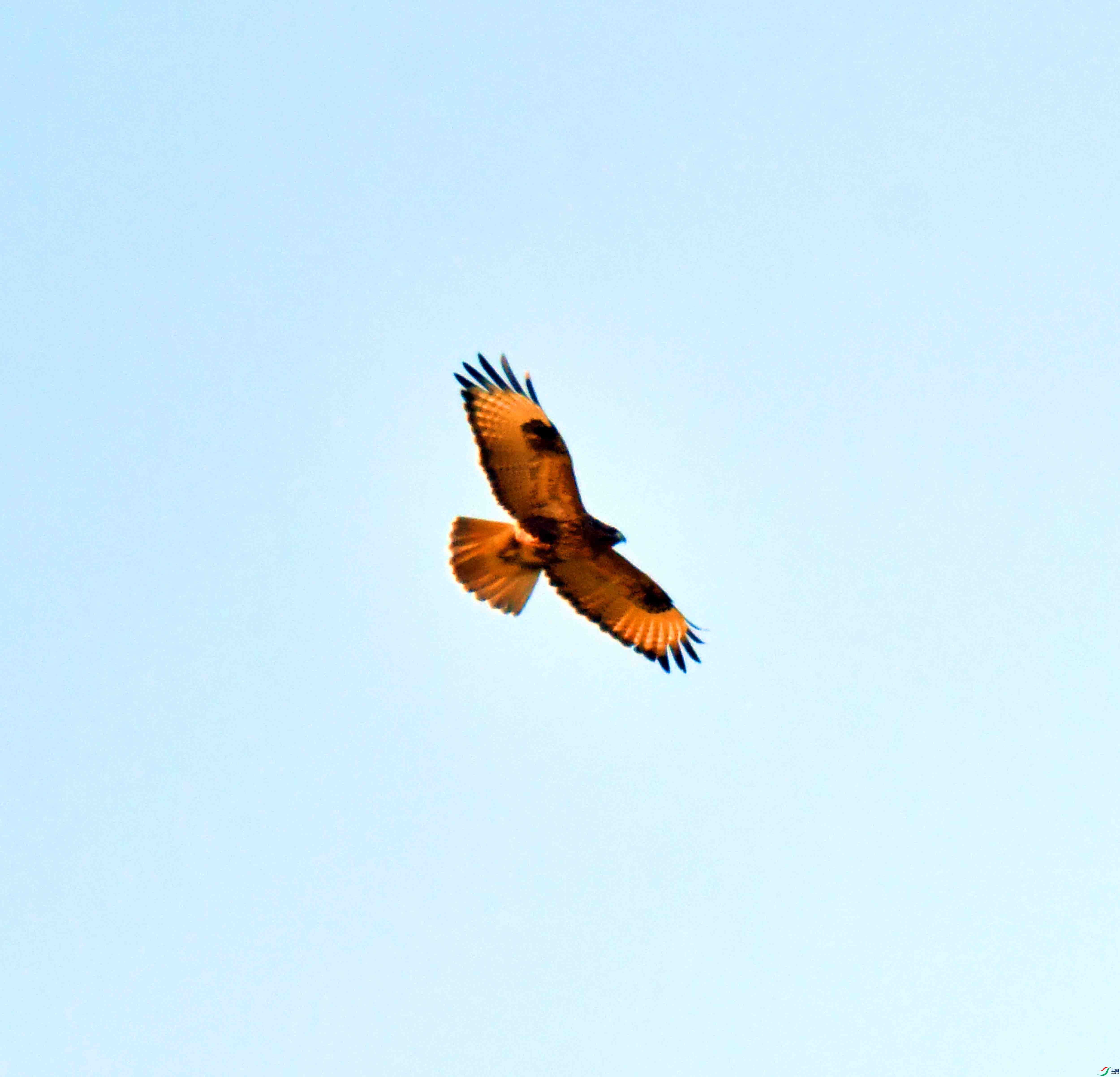 DSC_0378.JPG