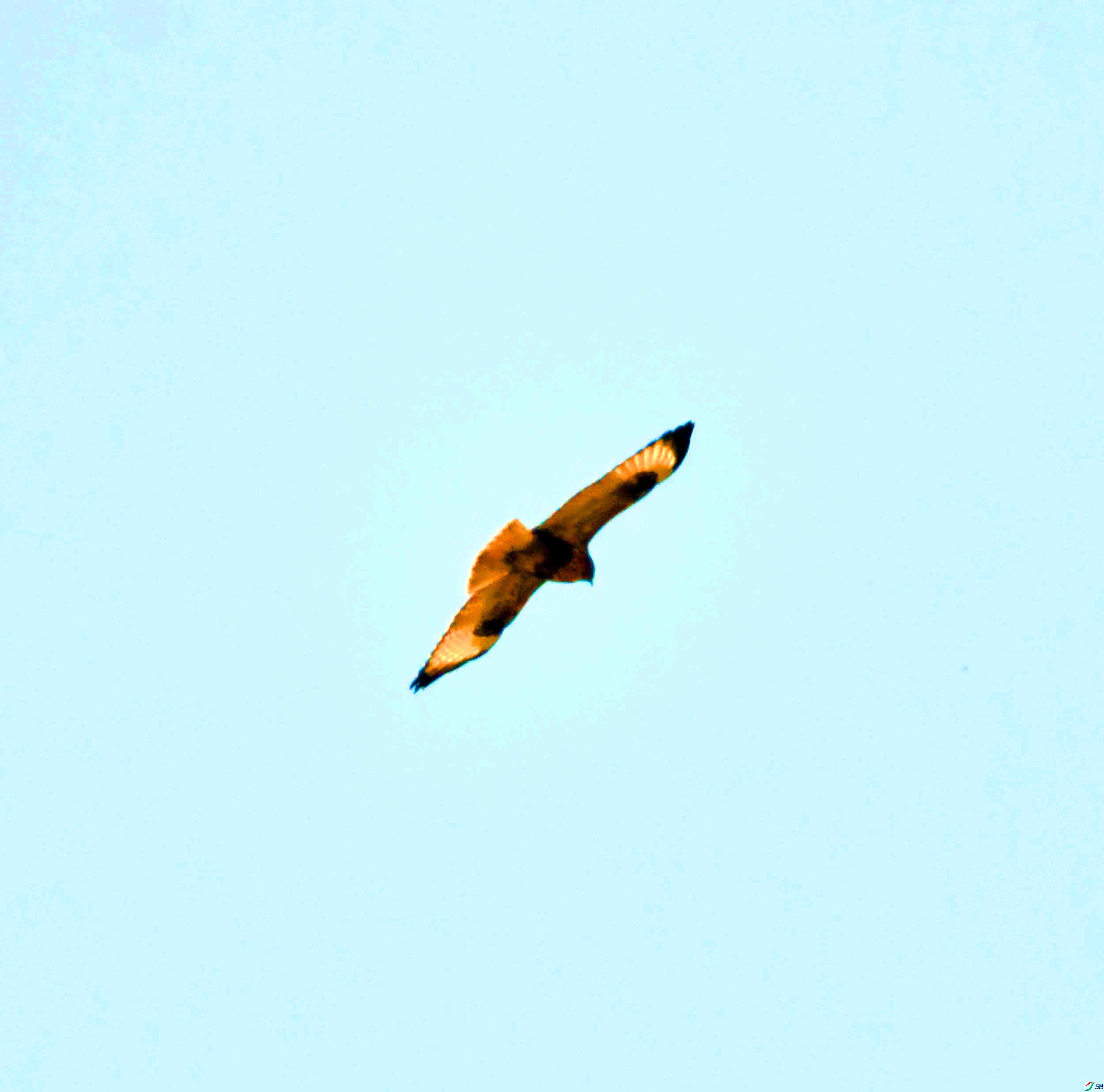 DSC_0383.JPG