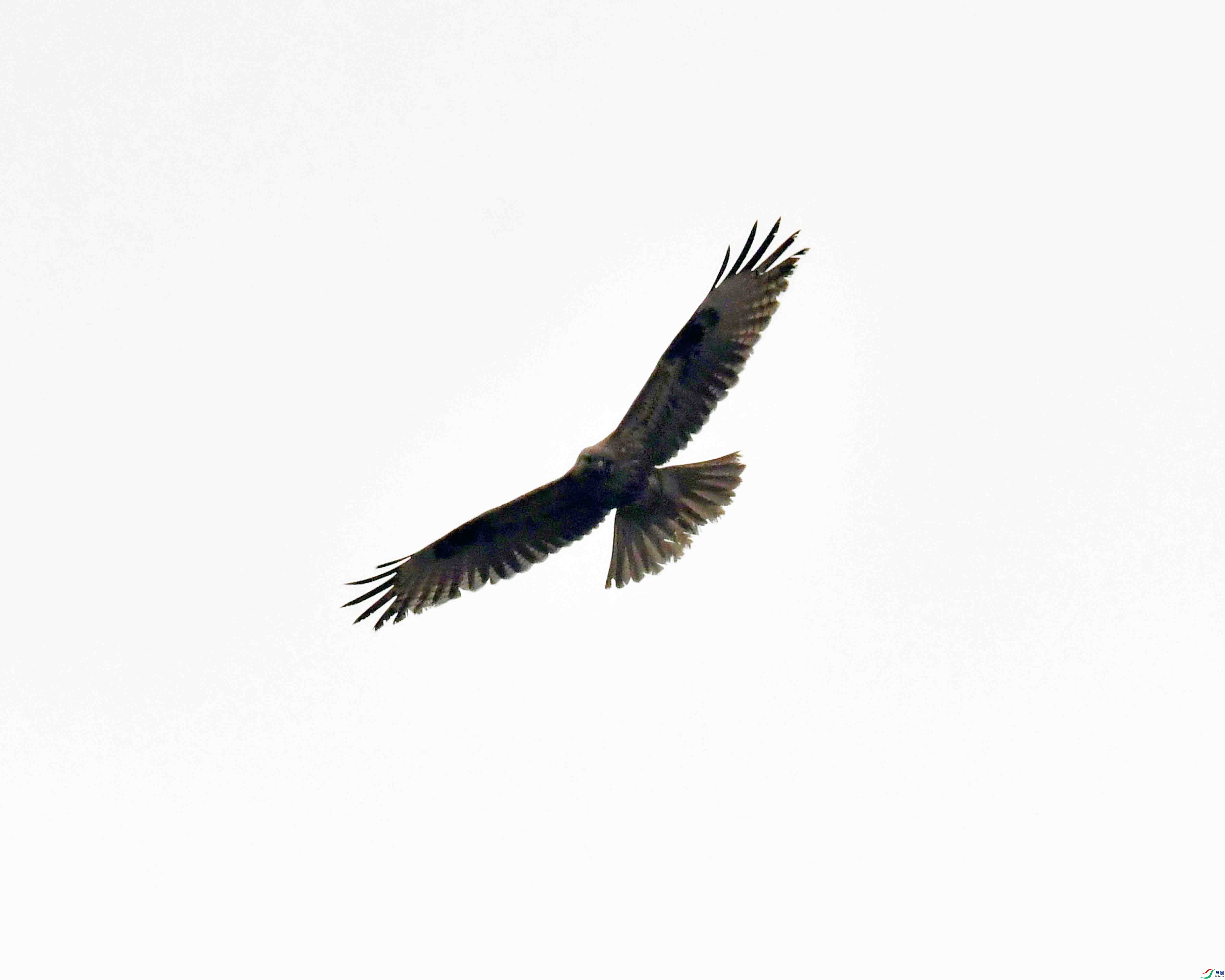 DSC_7611.JPG