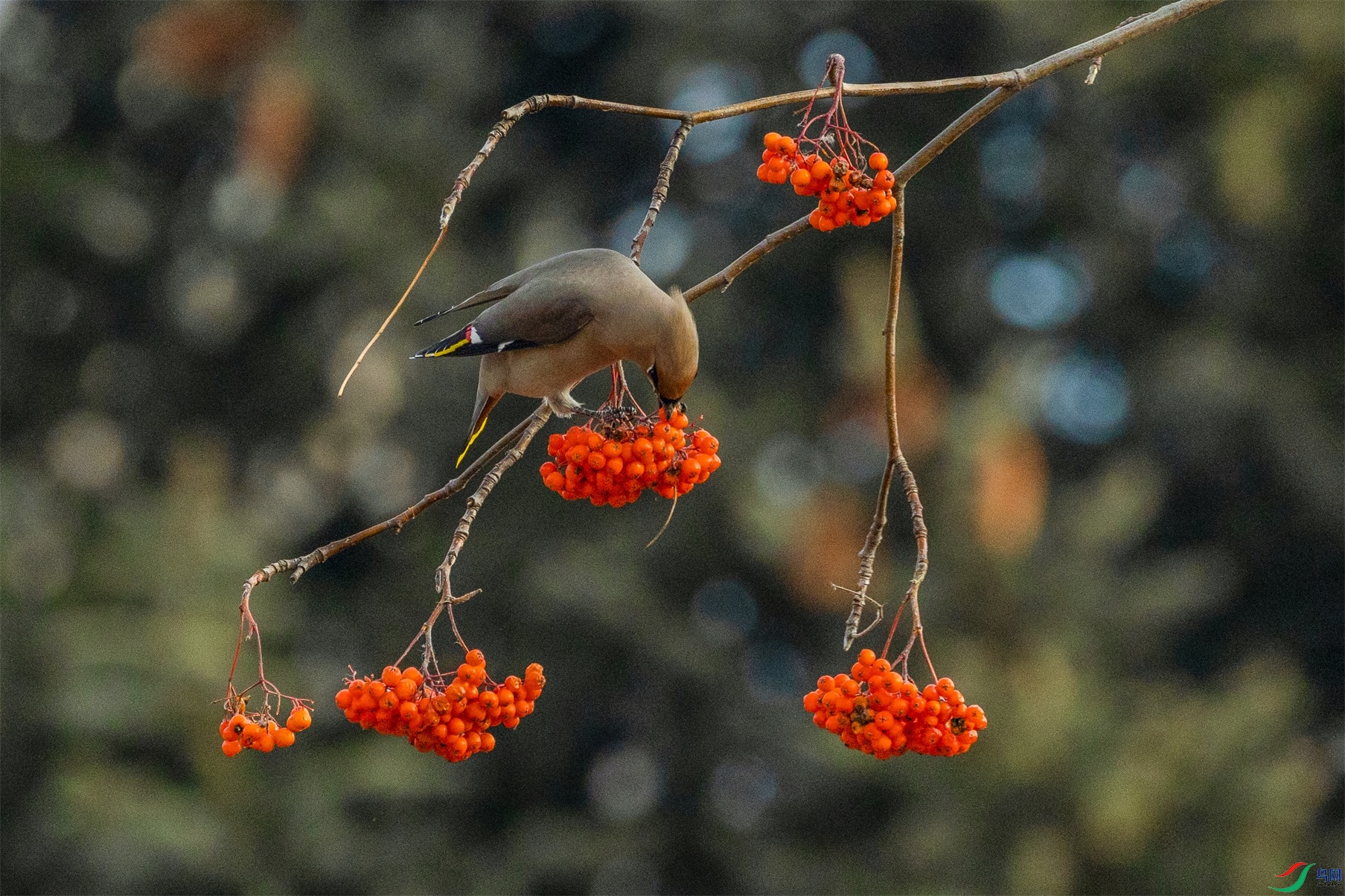 1K3A8279 ����1.jpg