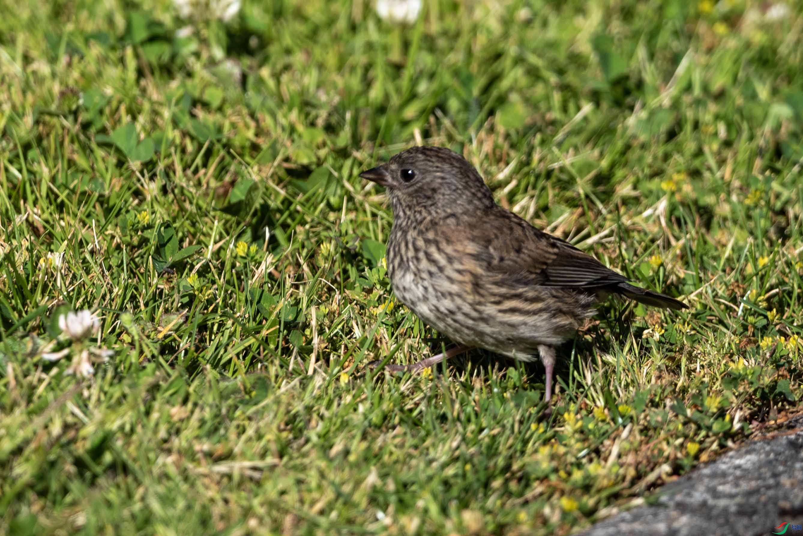 DSC_6694 ����2.jpg