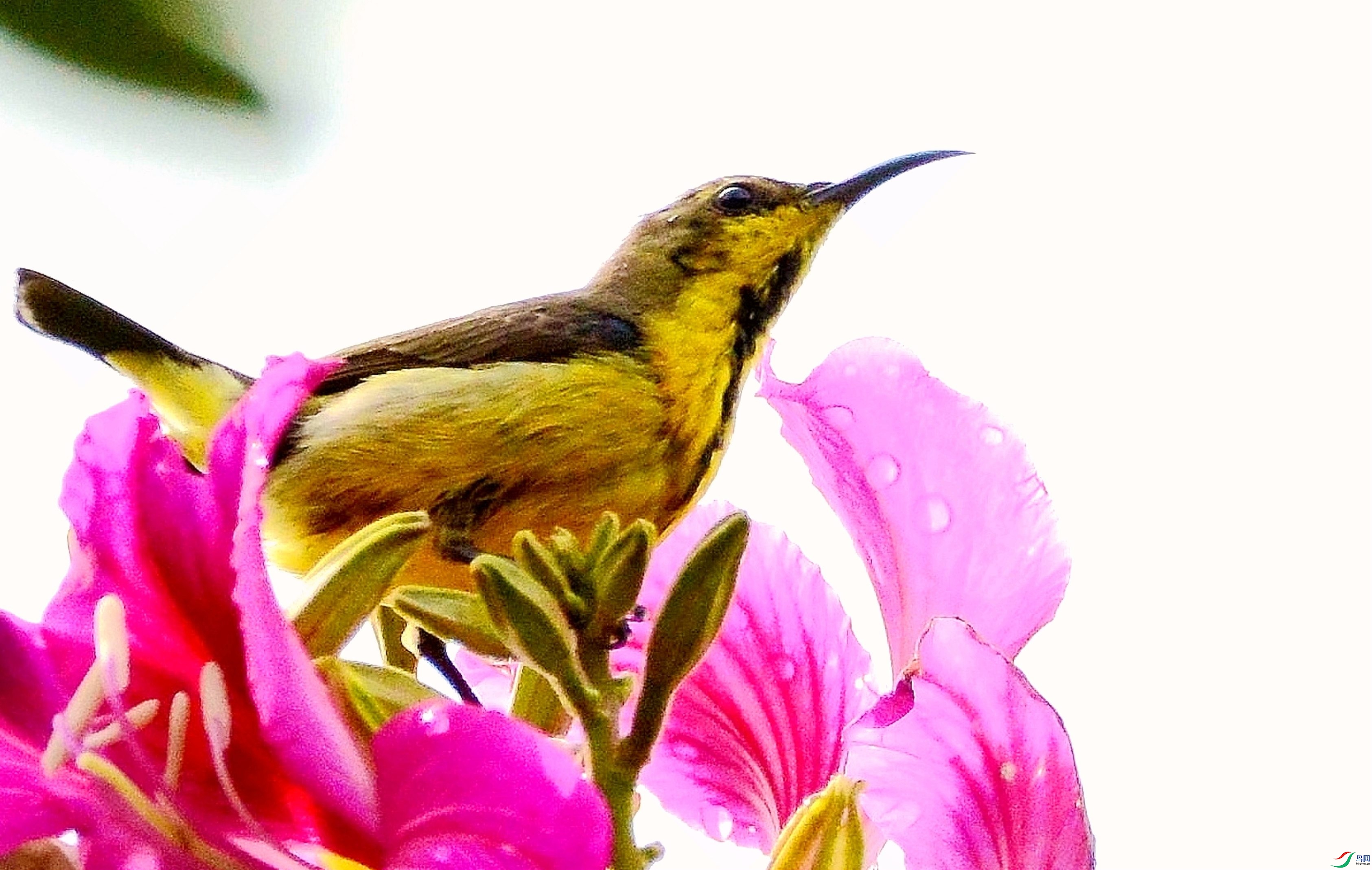 DSC_6745.JPG