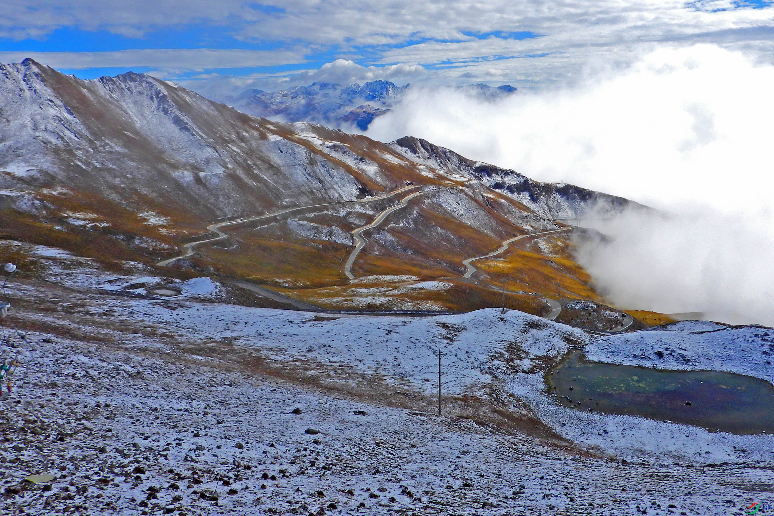 DSCN4796.jpg