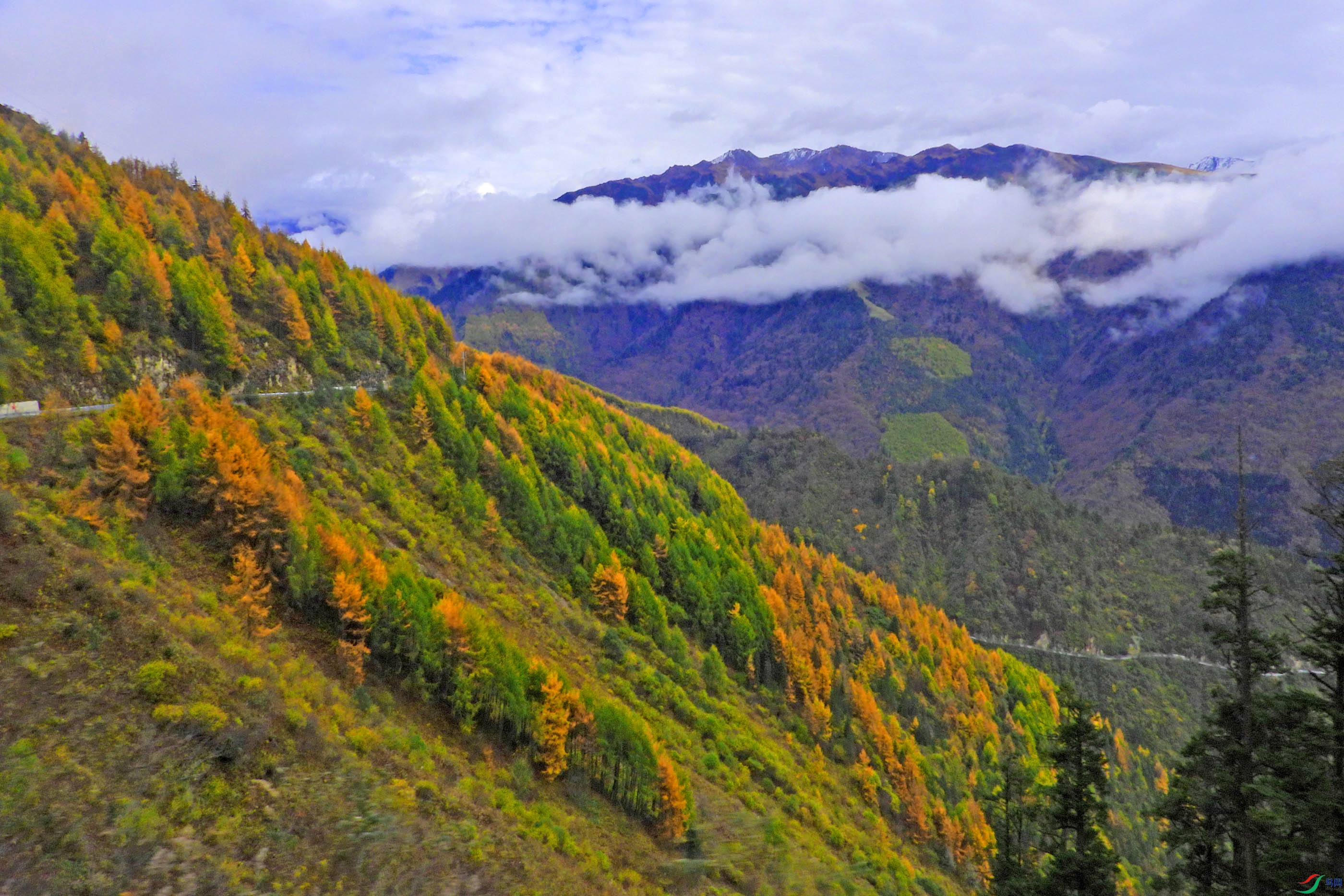 DSCN4828.jpg