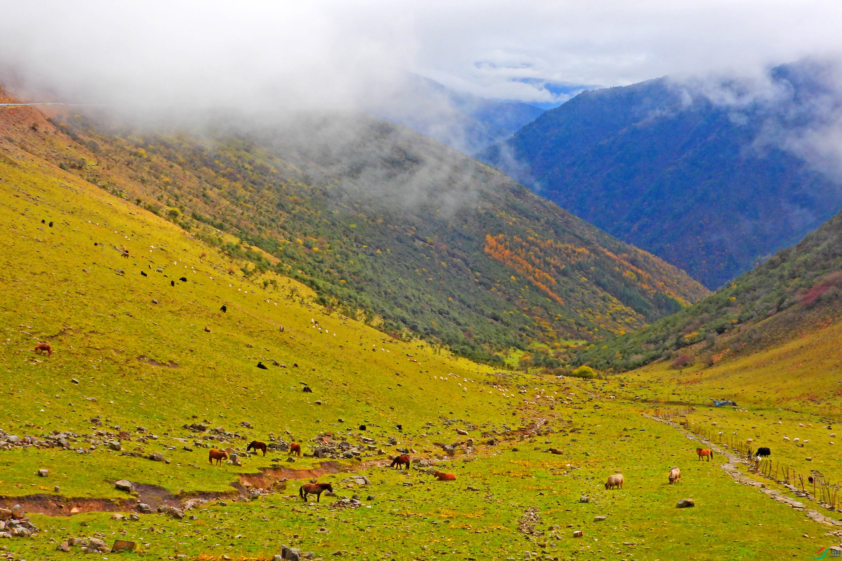 DSCN4822.jpg