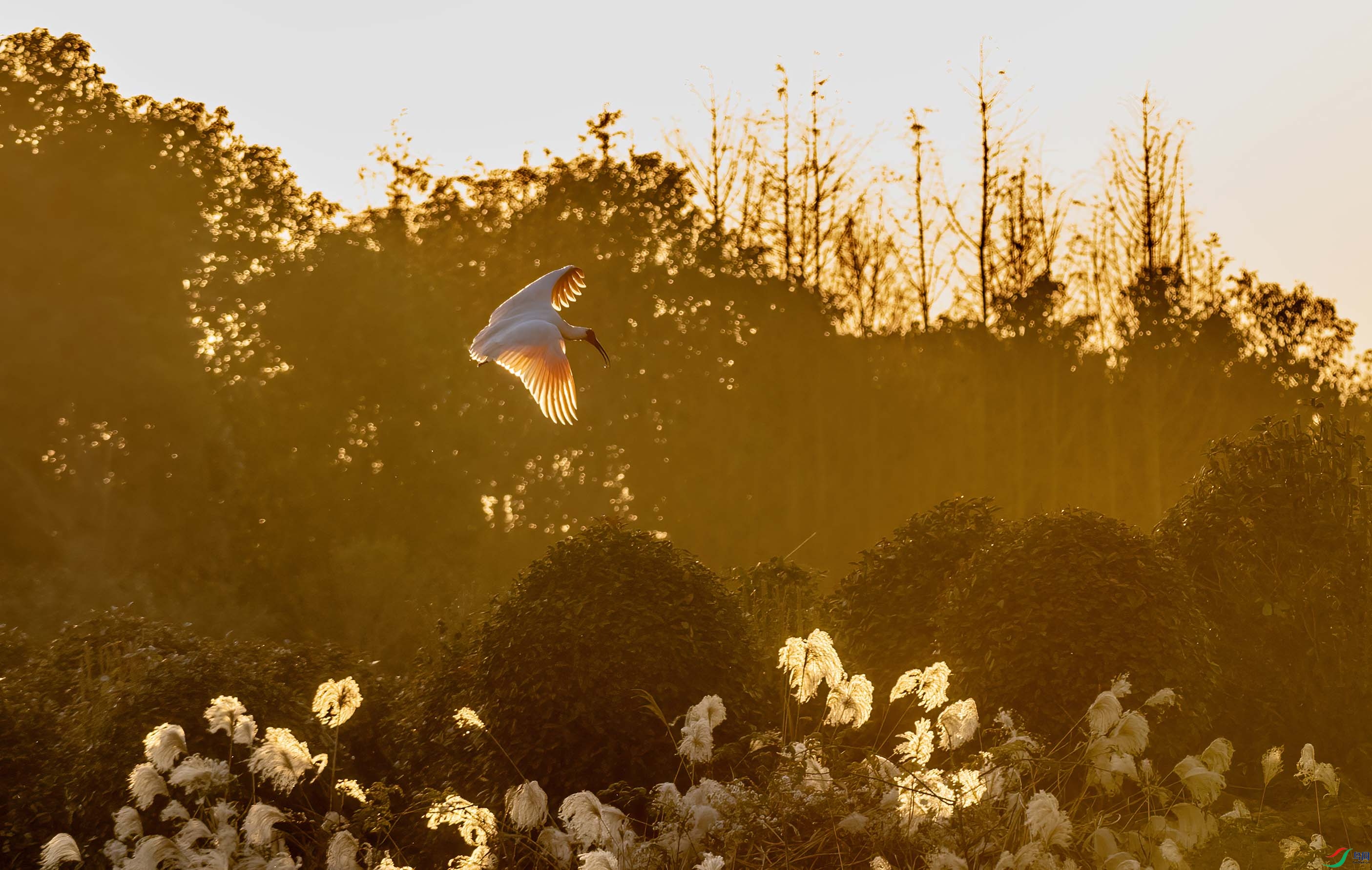 DSC_2209 ����.jpg