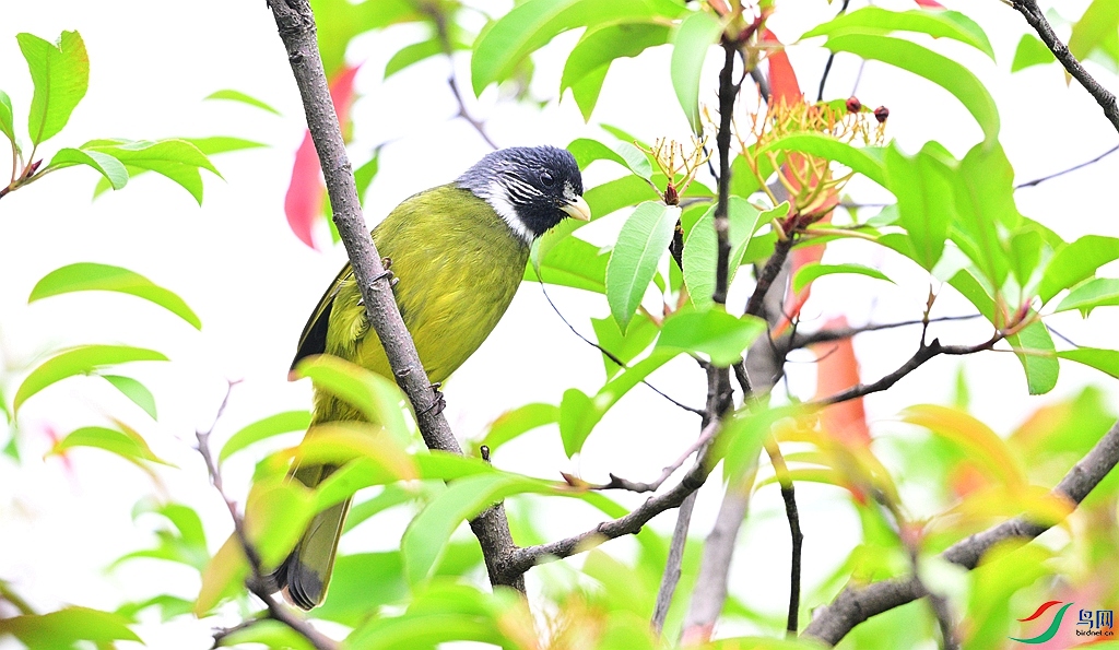 DSC_4931 - ����.JPG