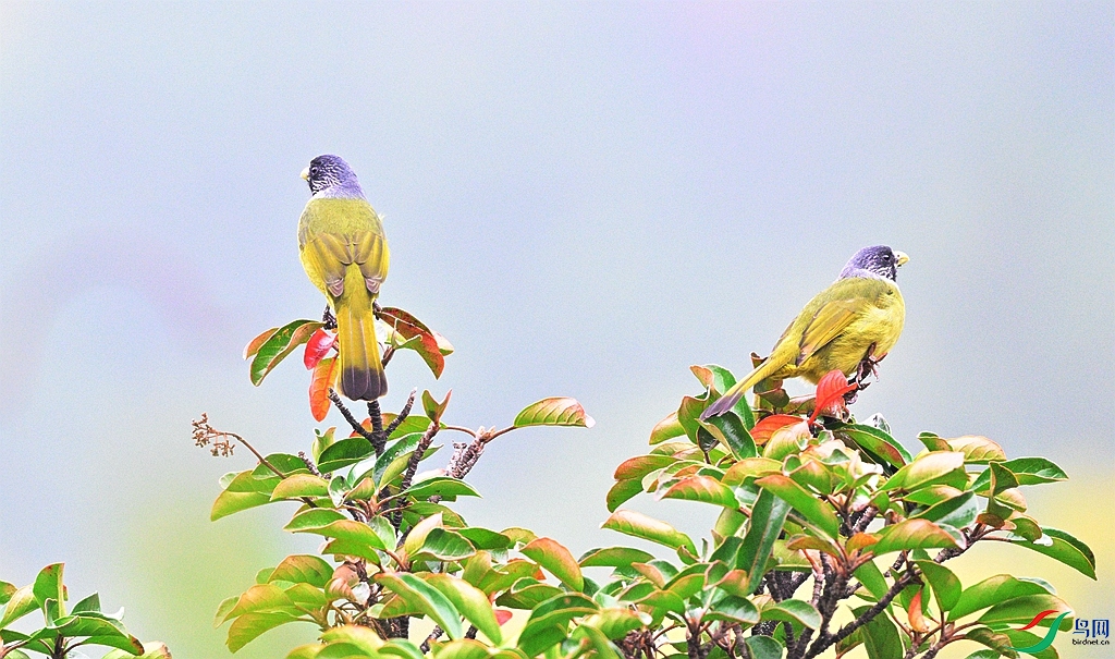 DSC_5004.JPG