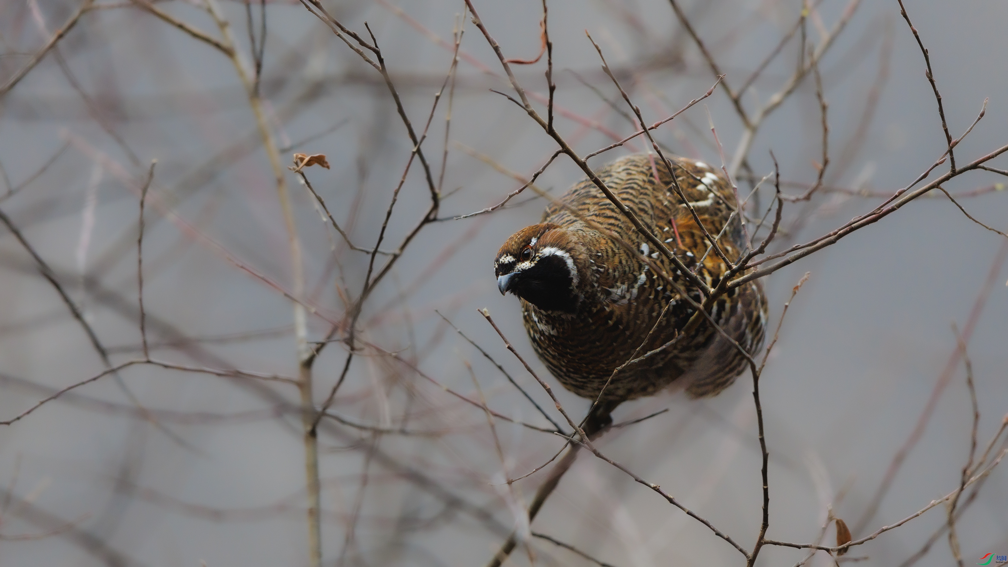 7X5A5697 ����44444.jpg