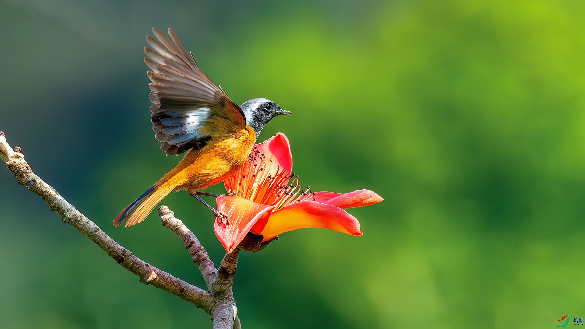 DSC_8108-����ǿ-NR.jpg
