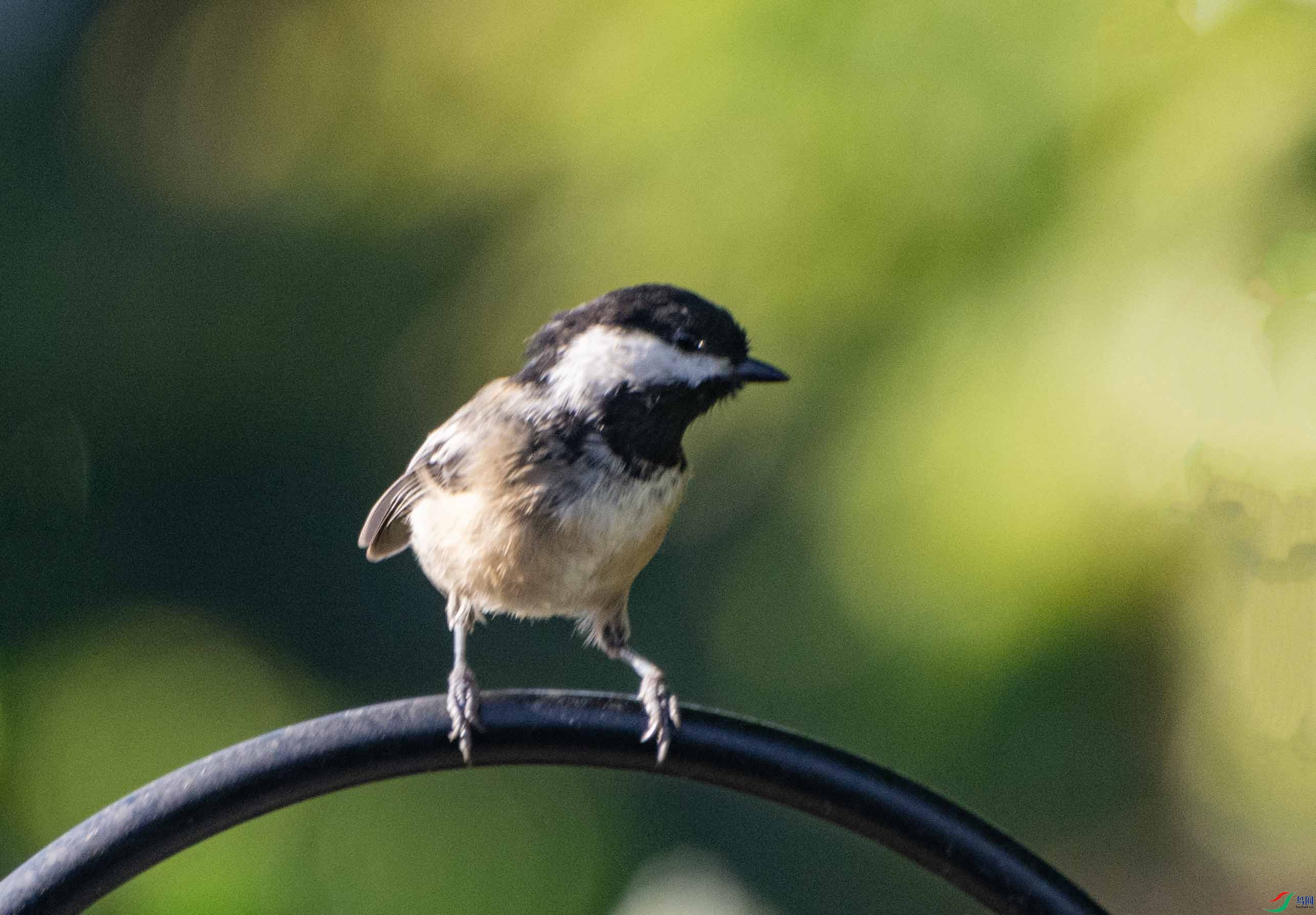 DSC_0792.jpg