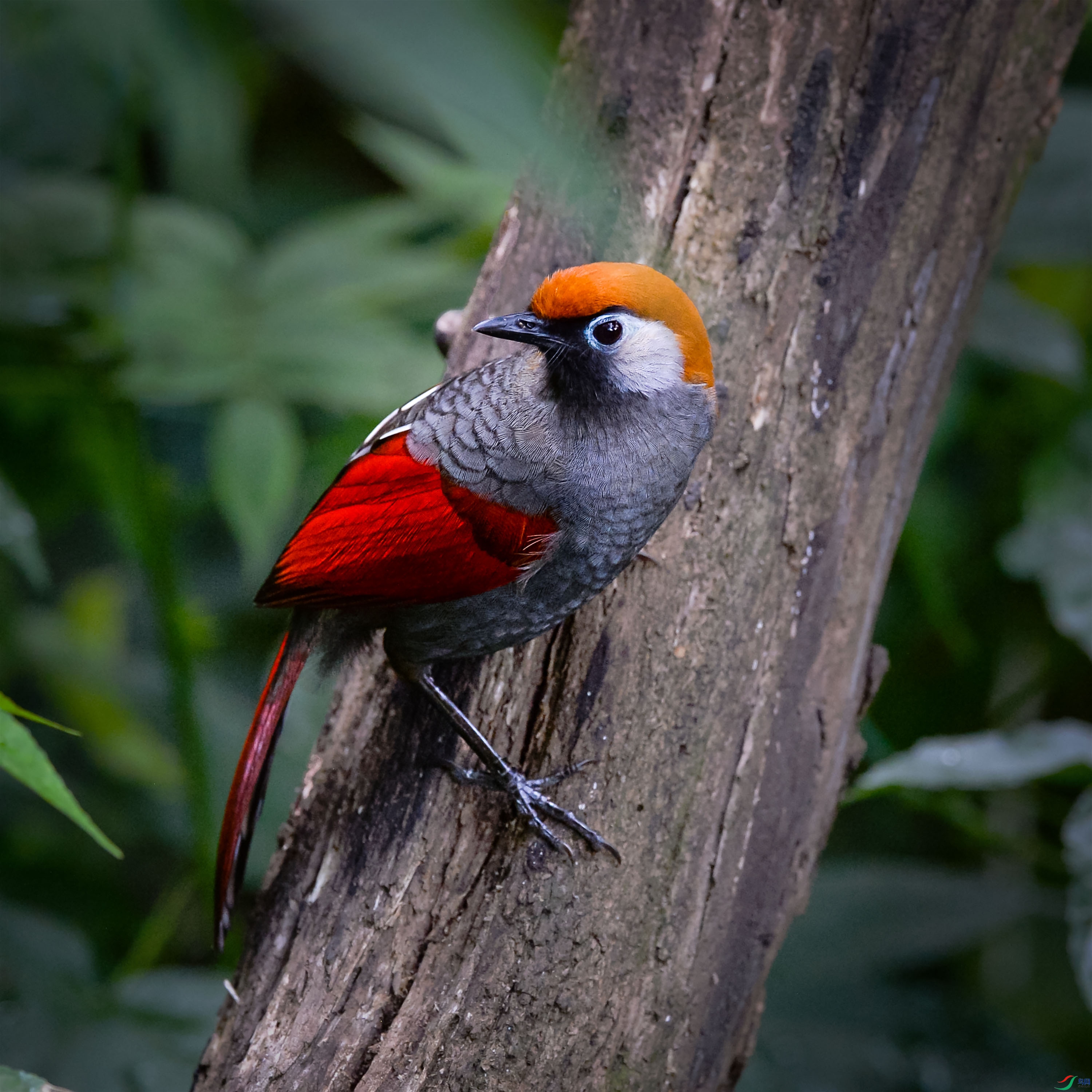 DSC_9395.jpg