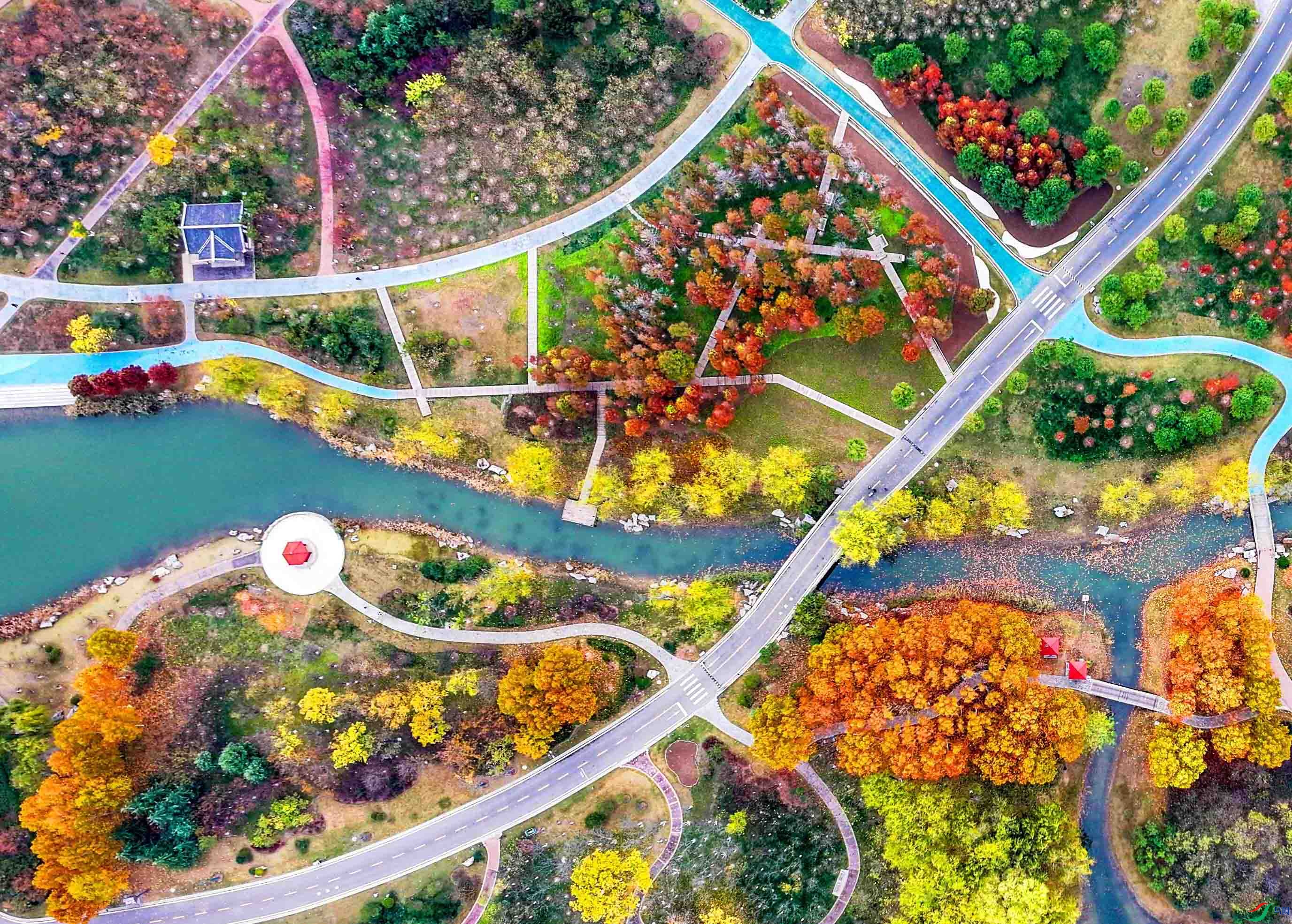 DJI_20241116122437_0086_D.JPG