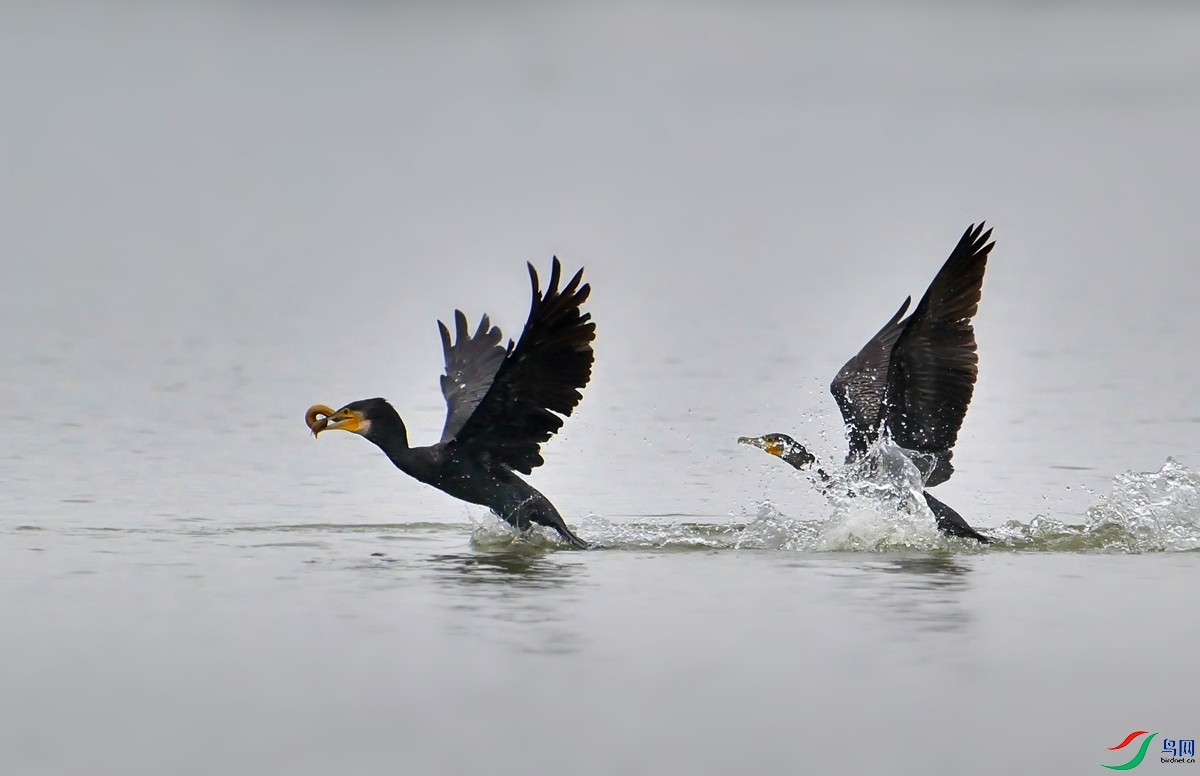 DSC_5763.jpg