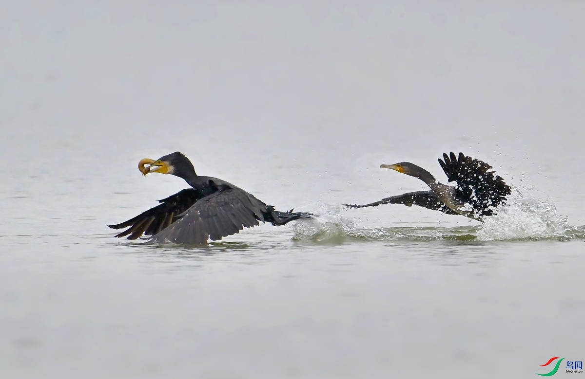 DSC_5765.jpg