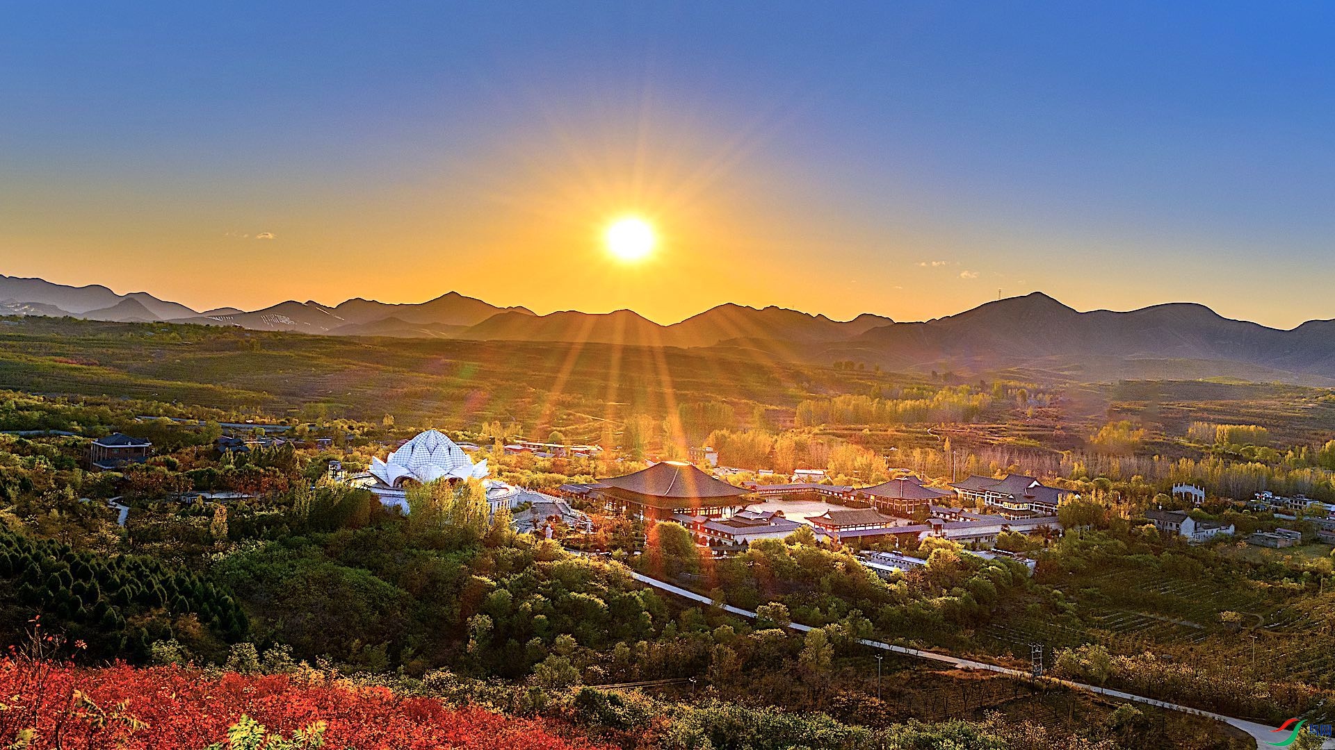 1_DSC1954 ����.jpeg