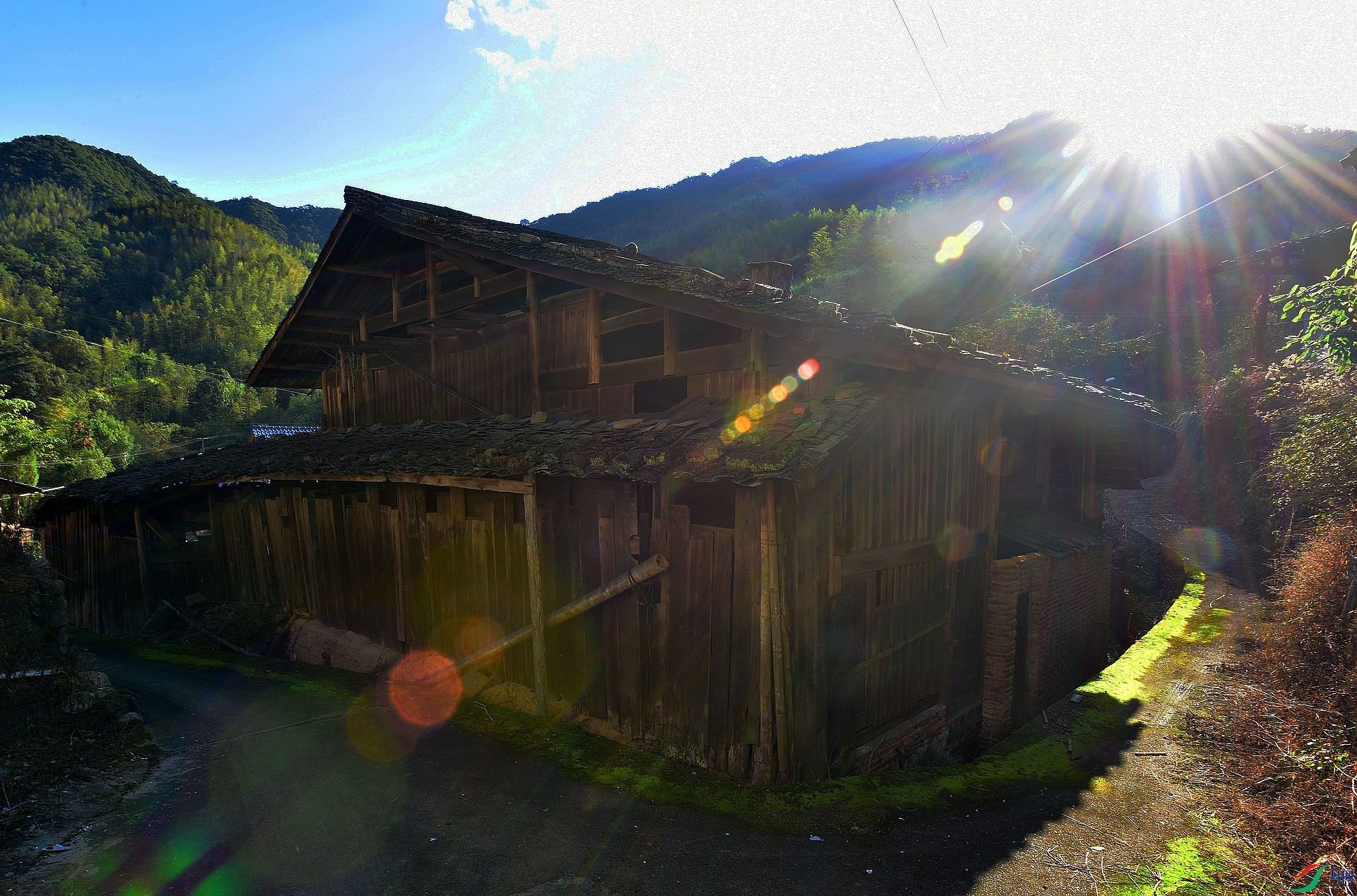 D8I_5593.jpg