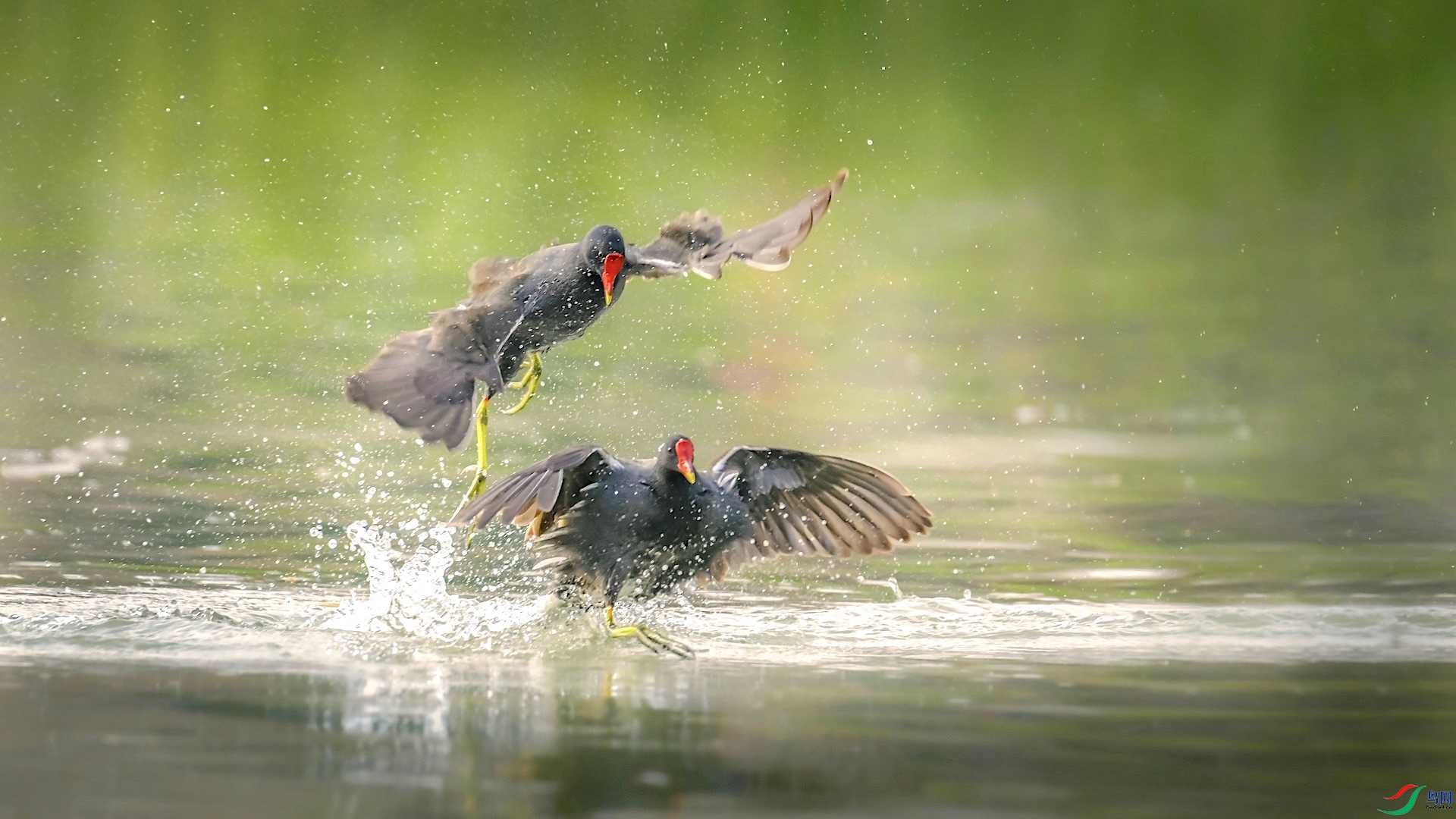 1-4_XXL7668 ���� 2.jpeg