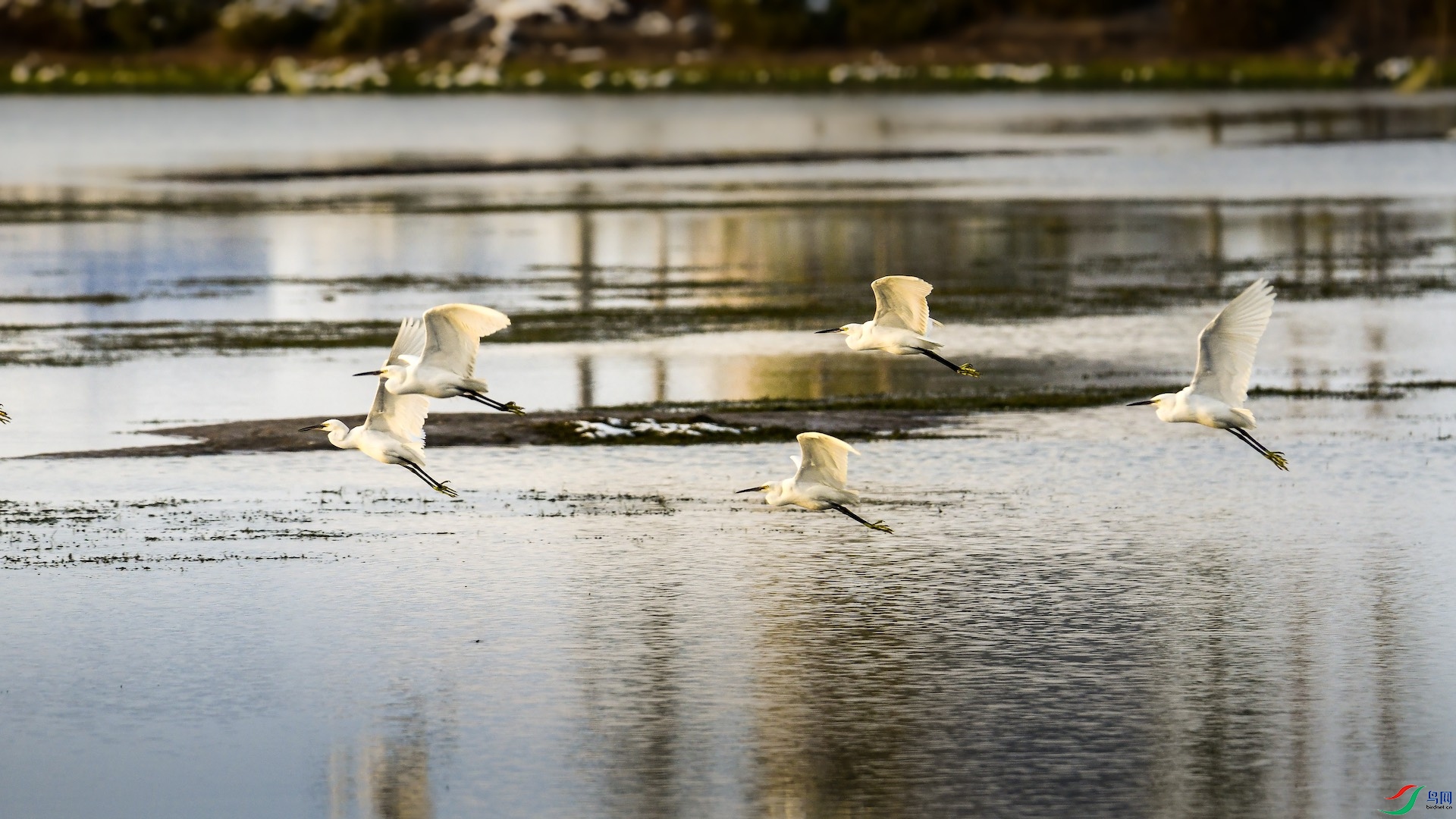 1-6XXL_1697 ����.jpeg