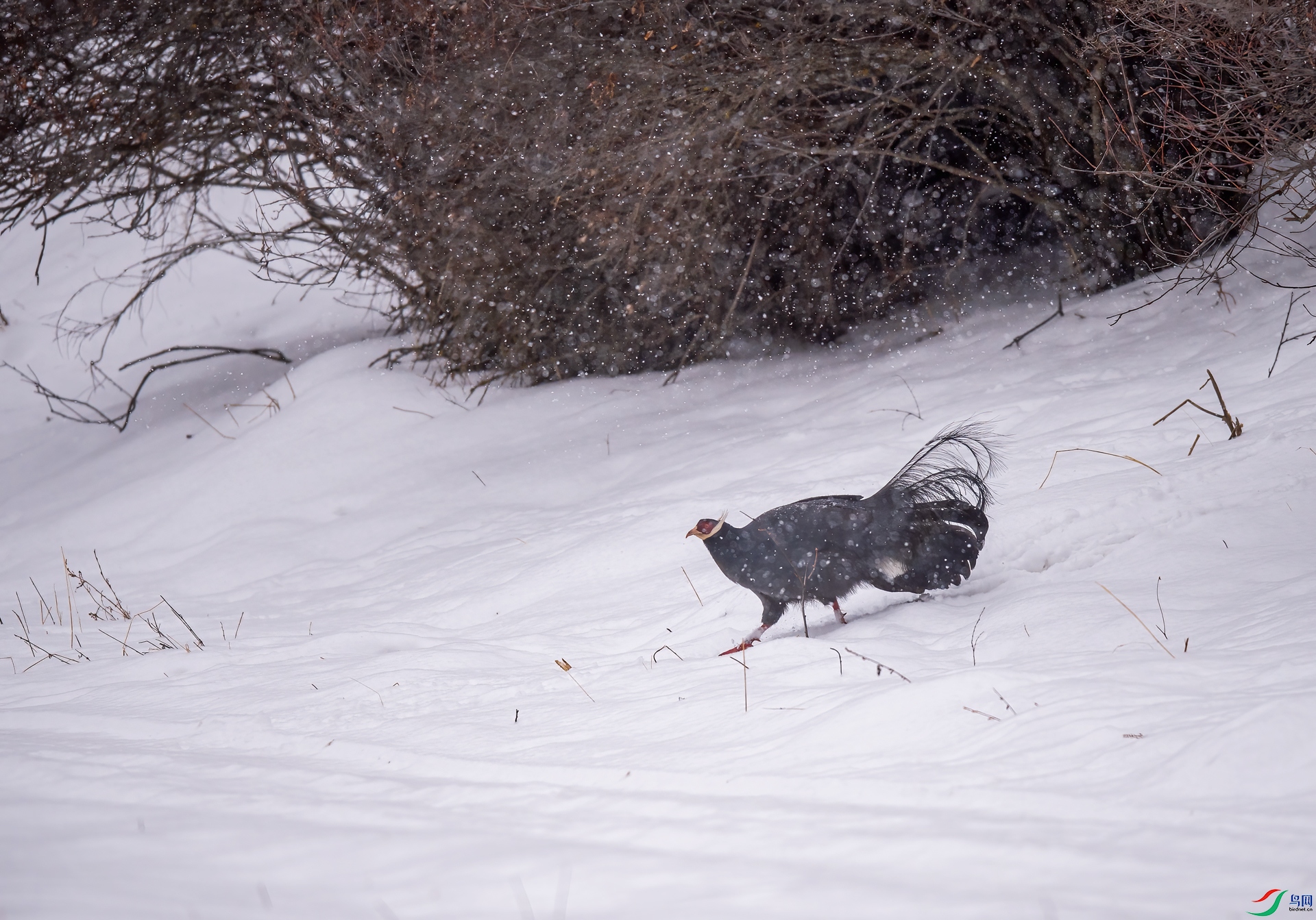 DSC_6245.jpg