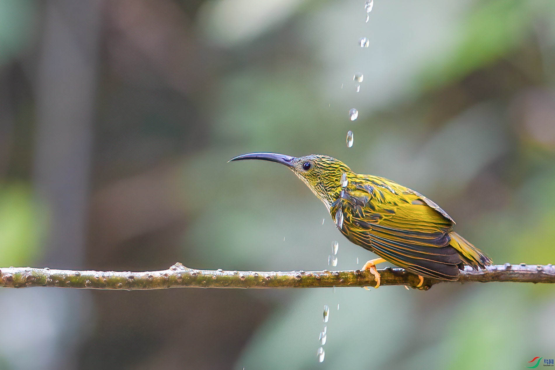 a_78020-1.jpg