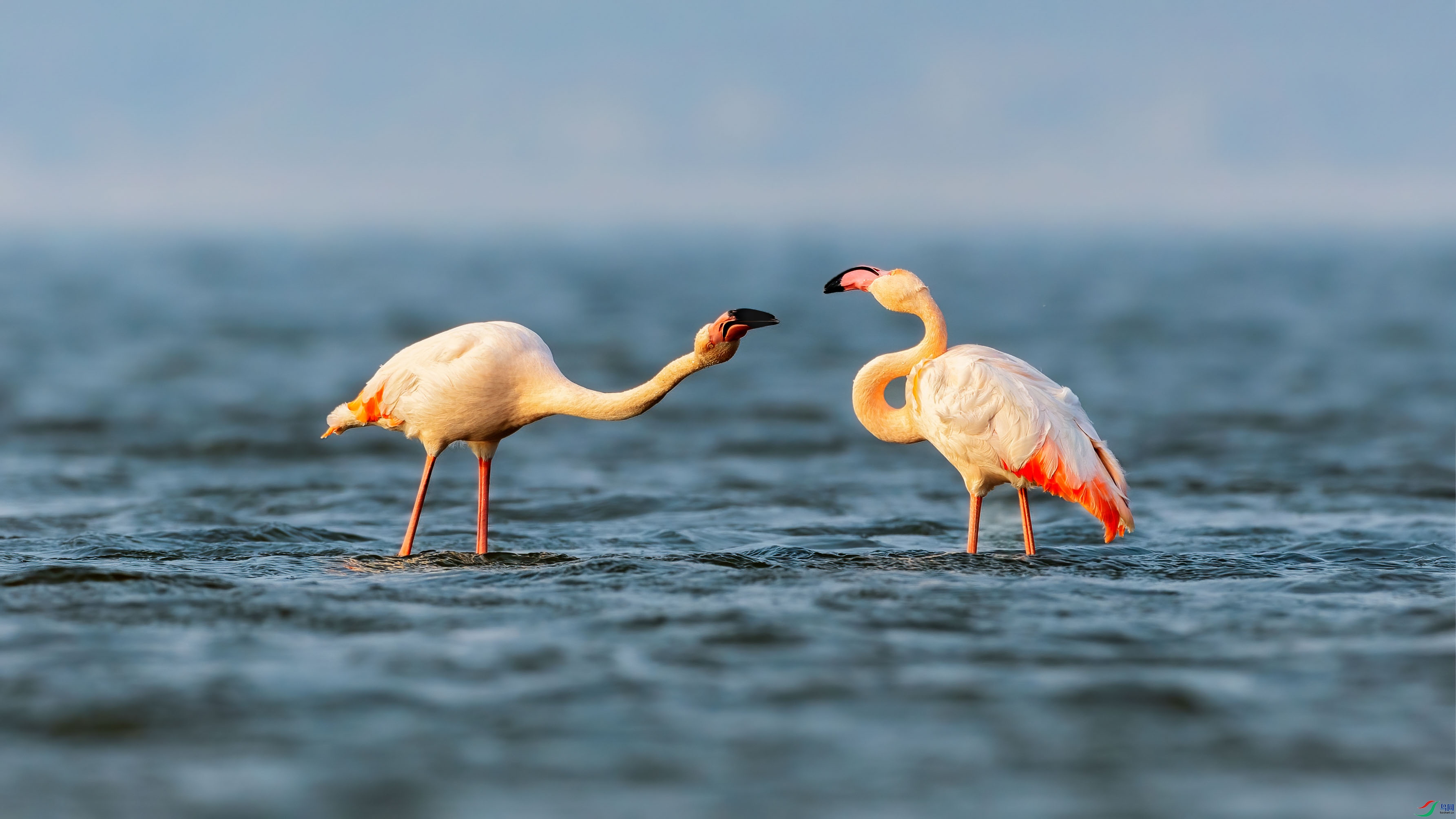 ��ˣ_B5A6141_1.jpg