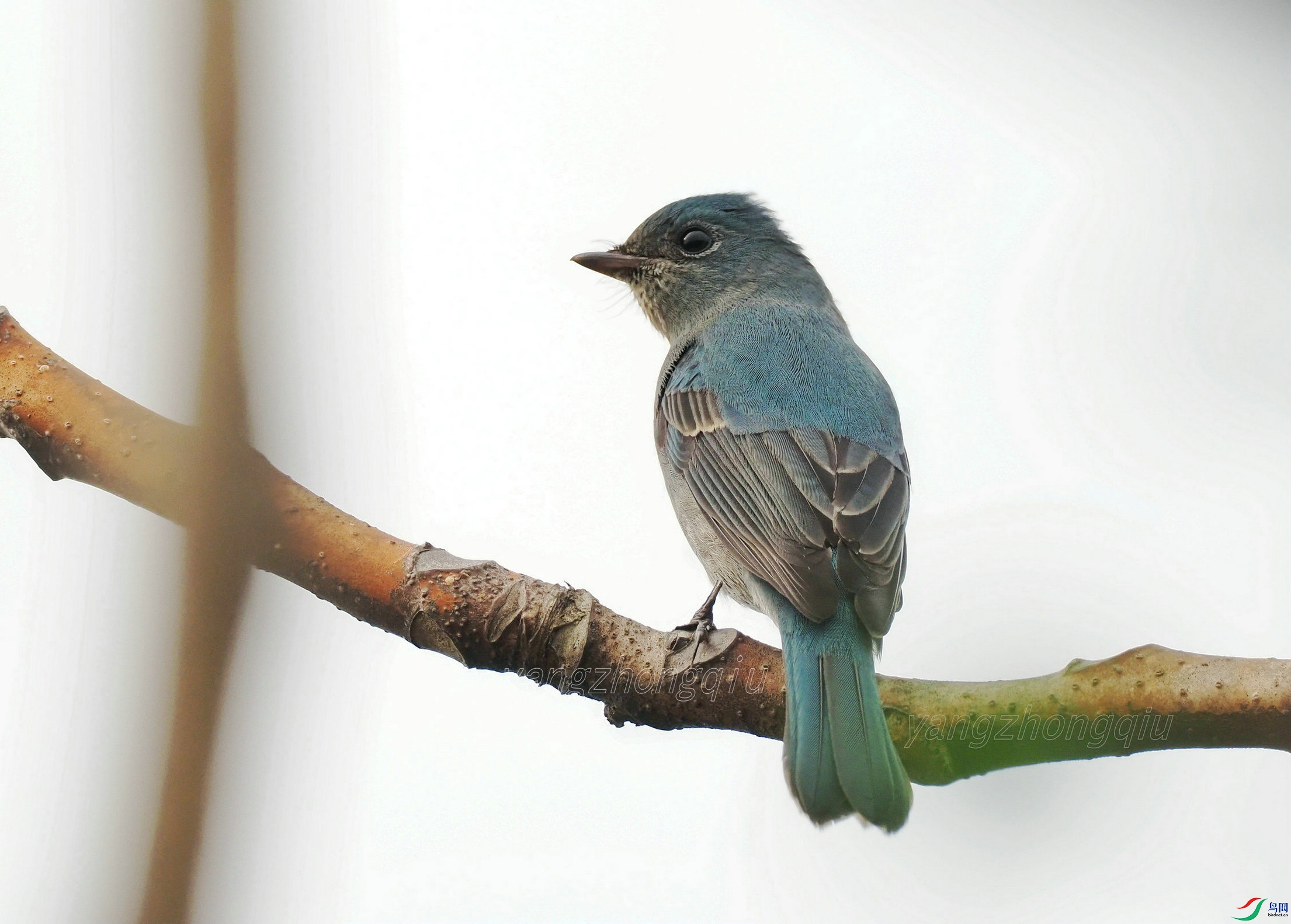 �������l