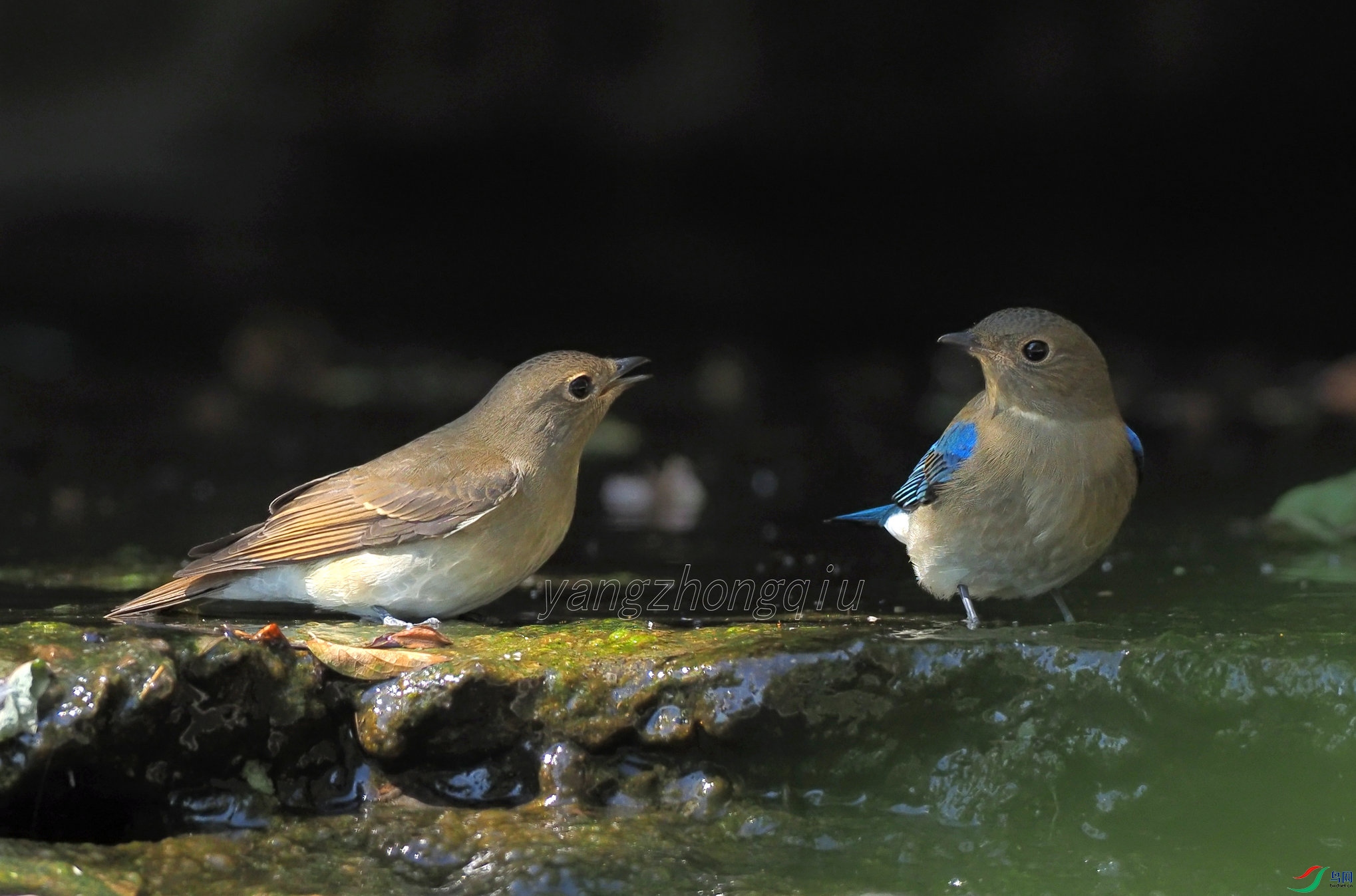 �������l����ͬ��