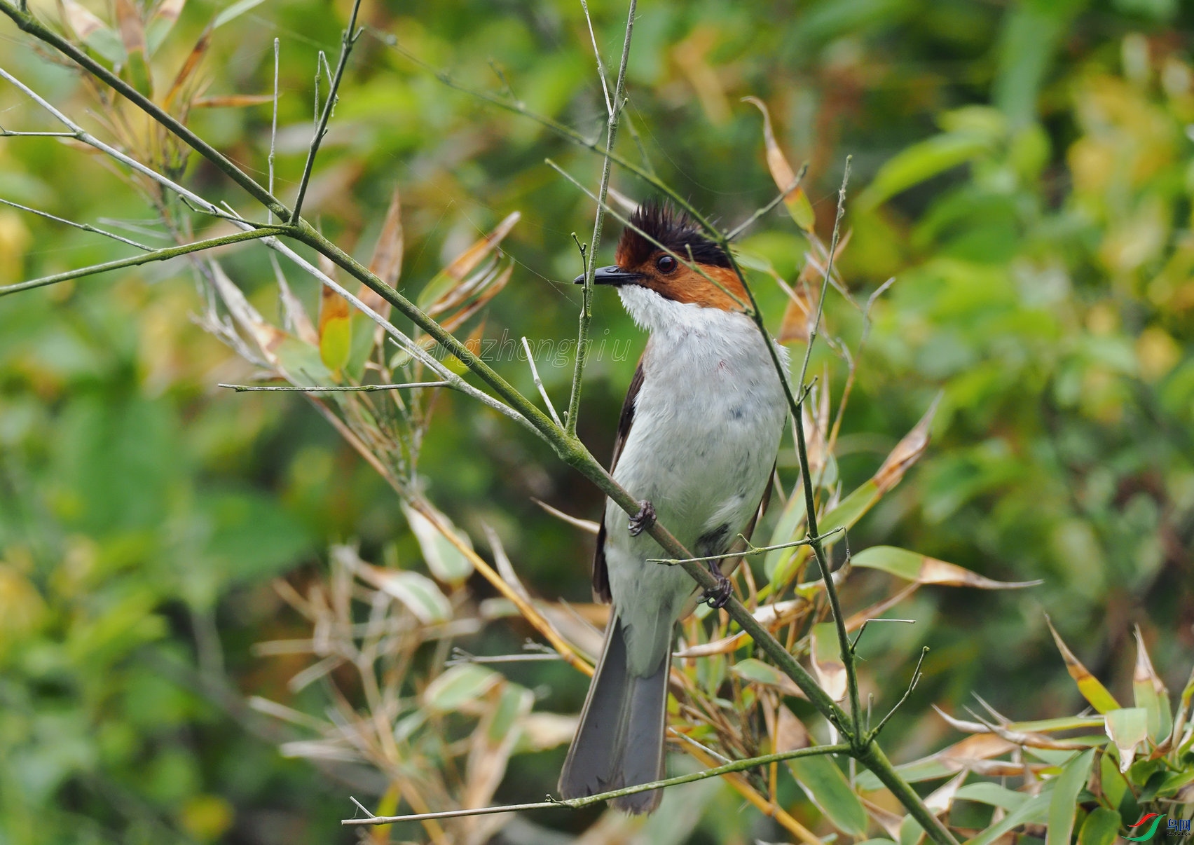 �����̽���