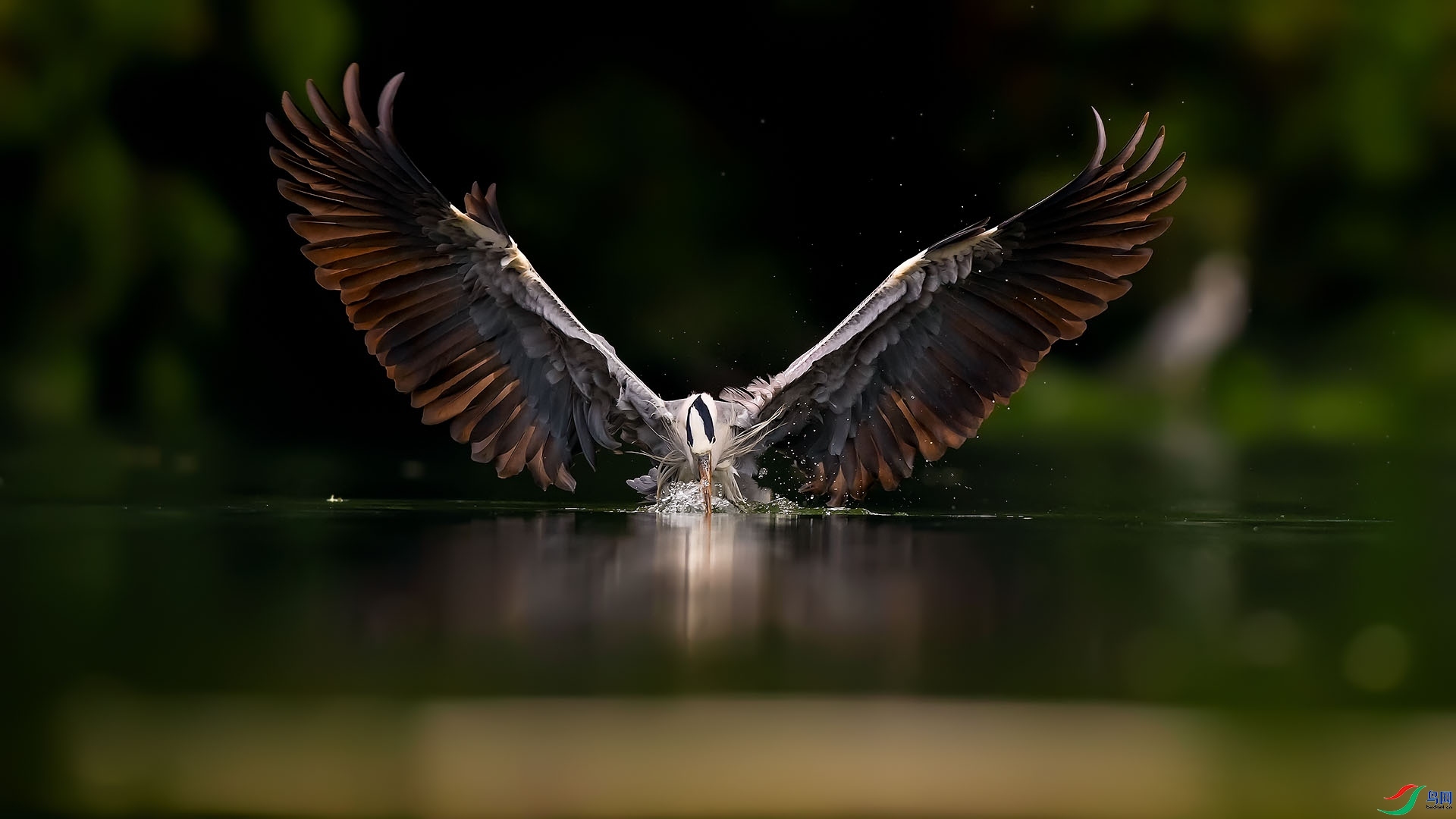 ÿ��һͼ ���ز���˲��  ���� ƽ�� ��һ.jpg