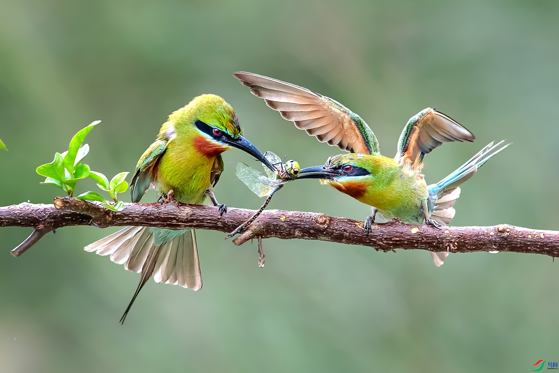 ���������� ����  ��һ.jpg