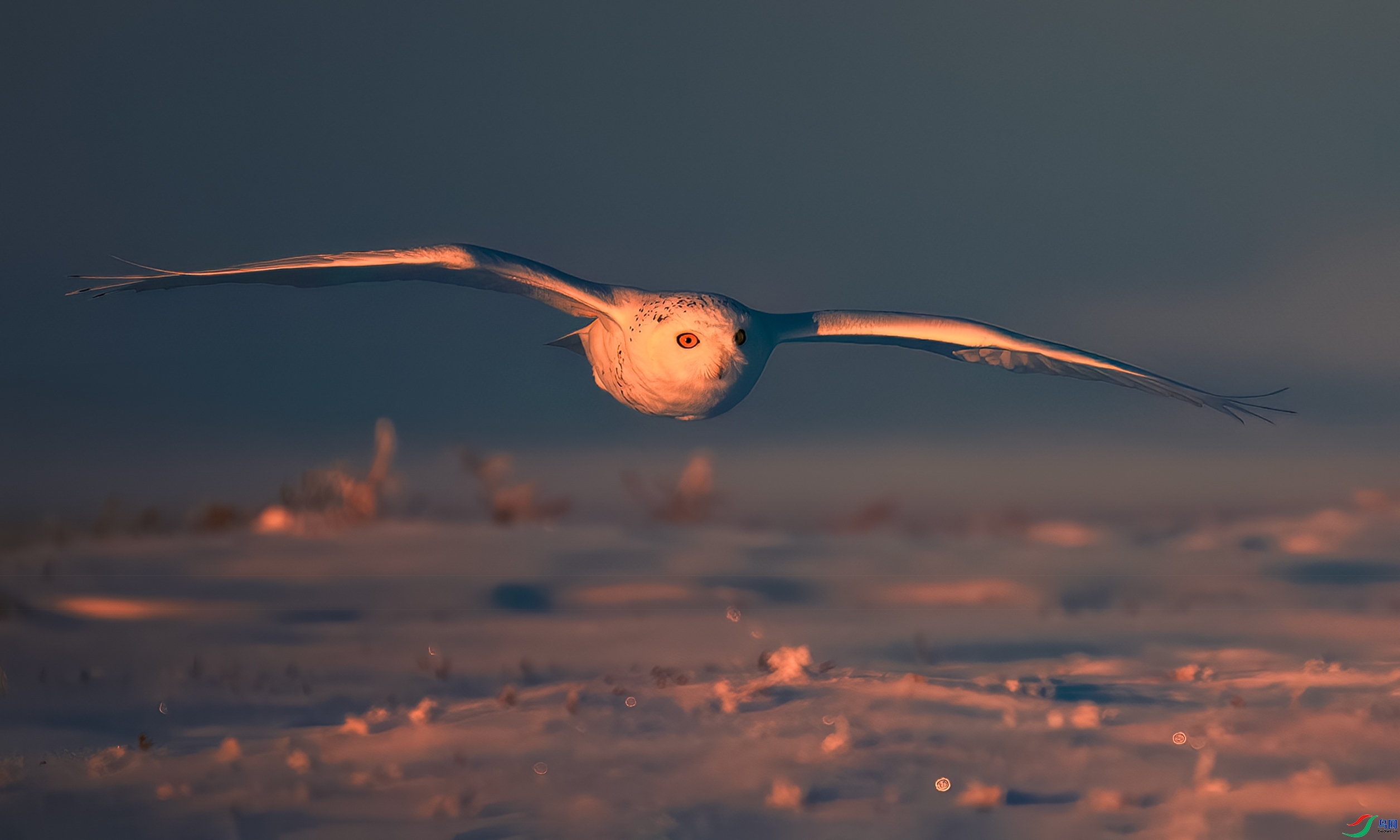 ӭ�ų���  ���� 춼ͷ� ����.jpg