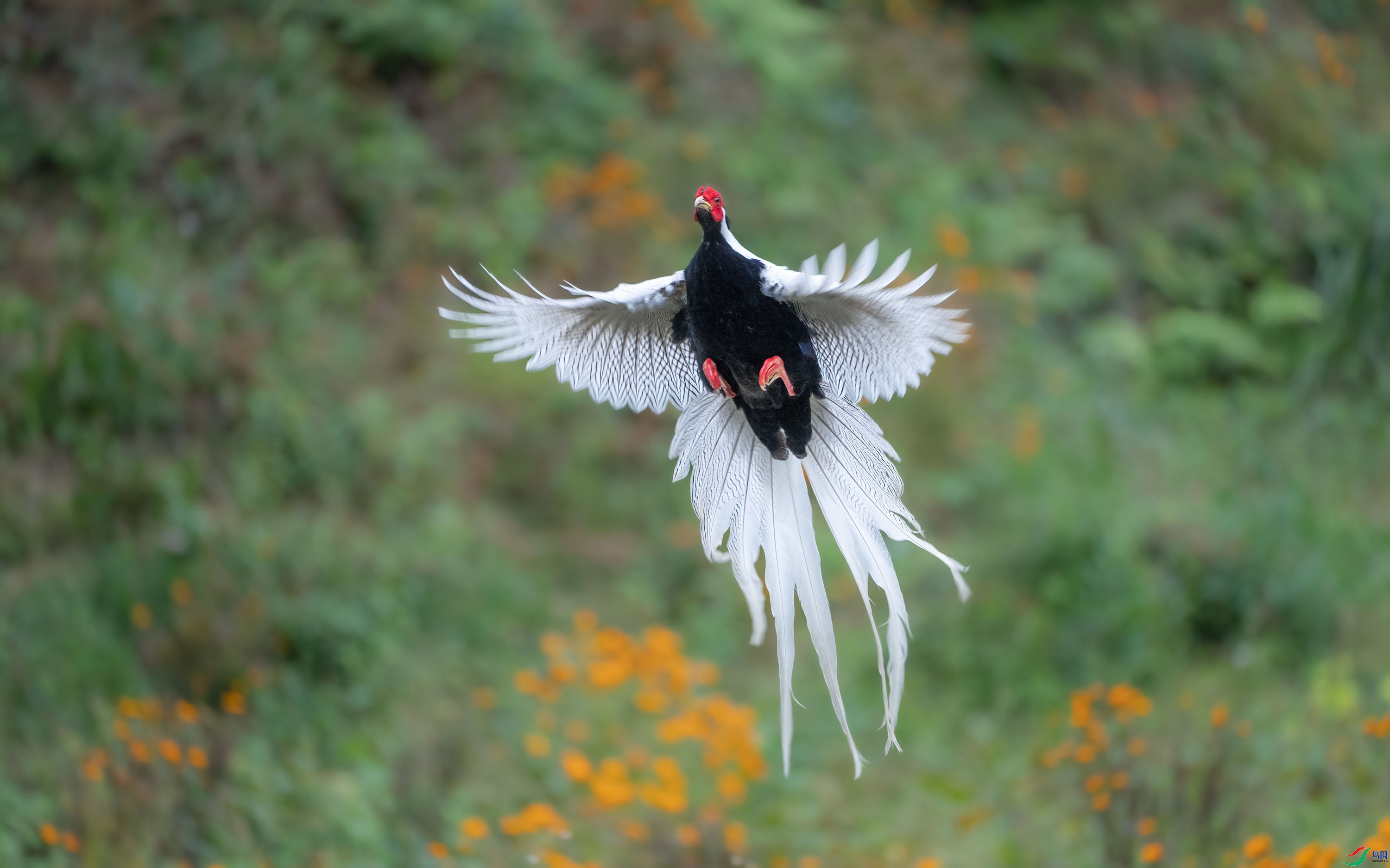 ���� ���� ���� ����.jpg