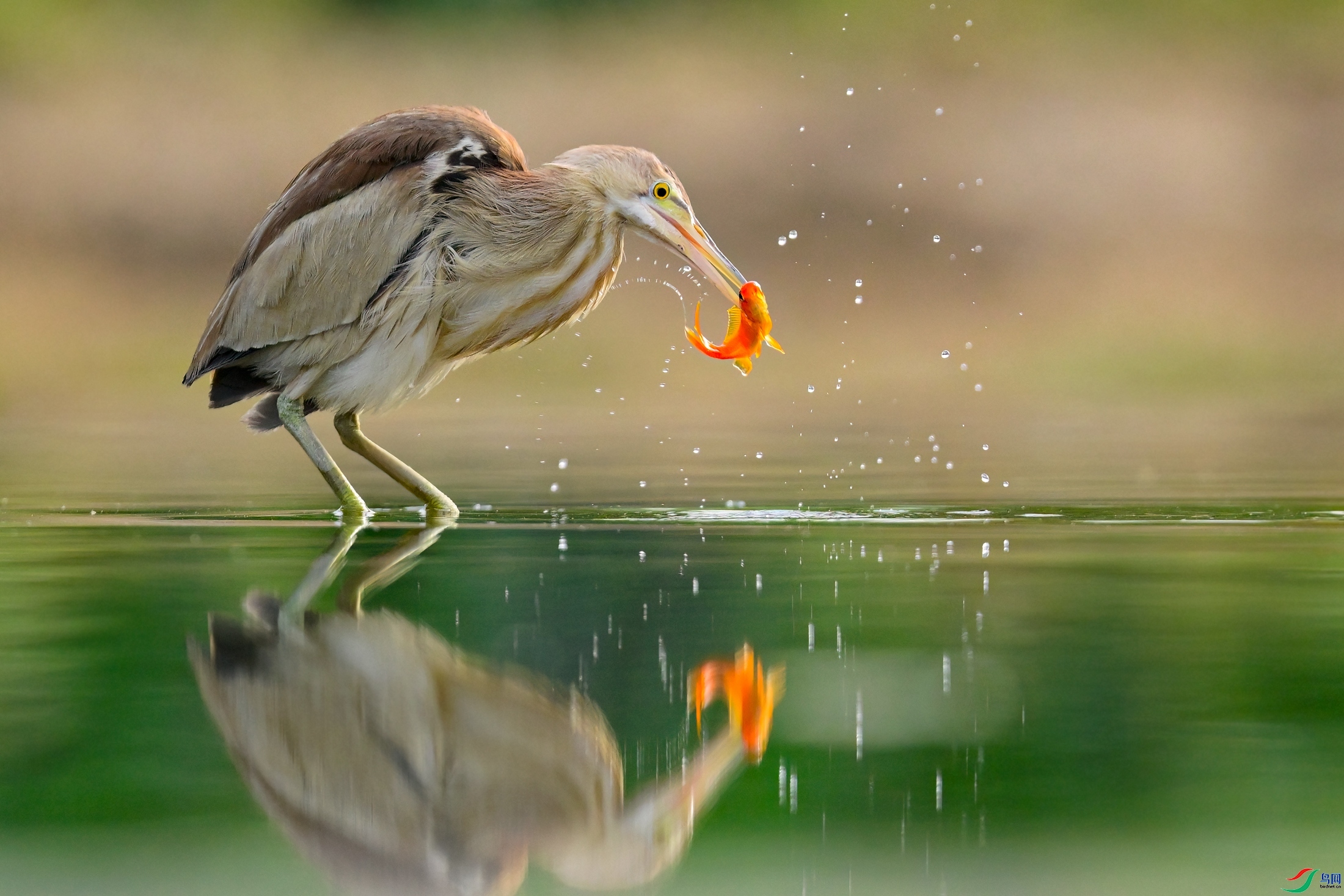 ����  ���� �չ�����-����  ����.jpg