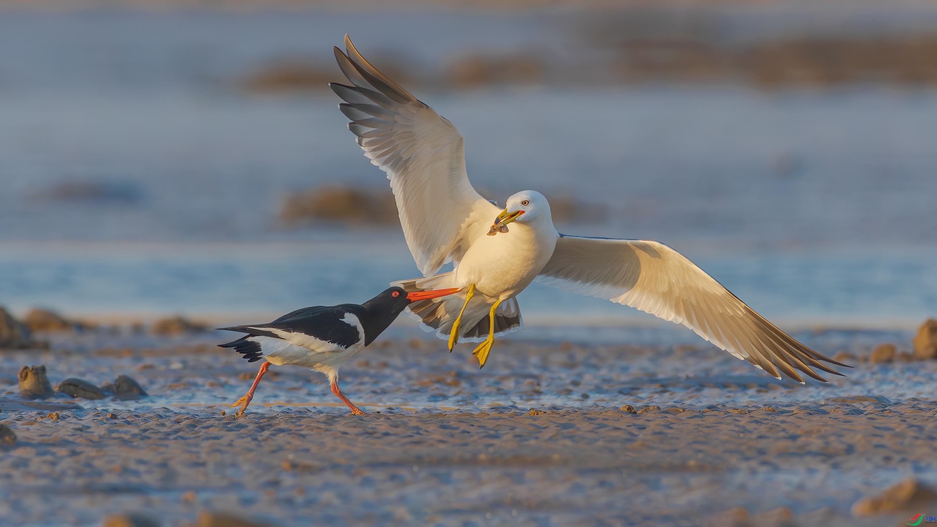 �����͸� ���� �䱾���� ����.jpg