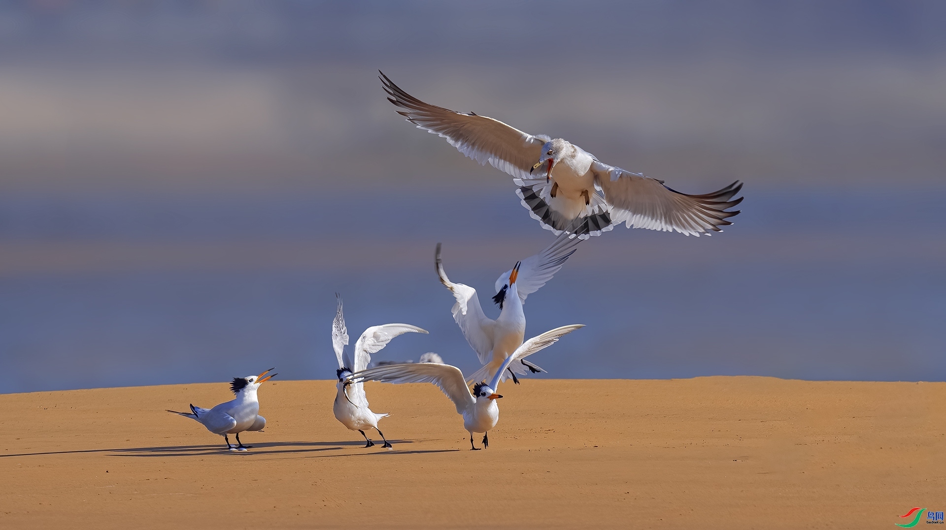 ���𻹻�  ���� �������� ����.jpg