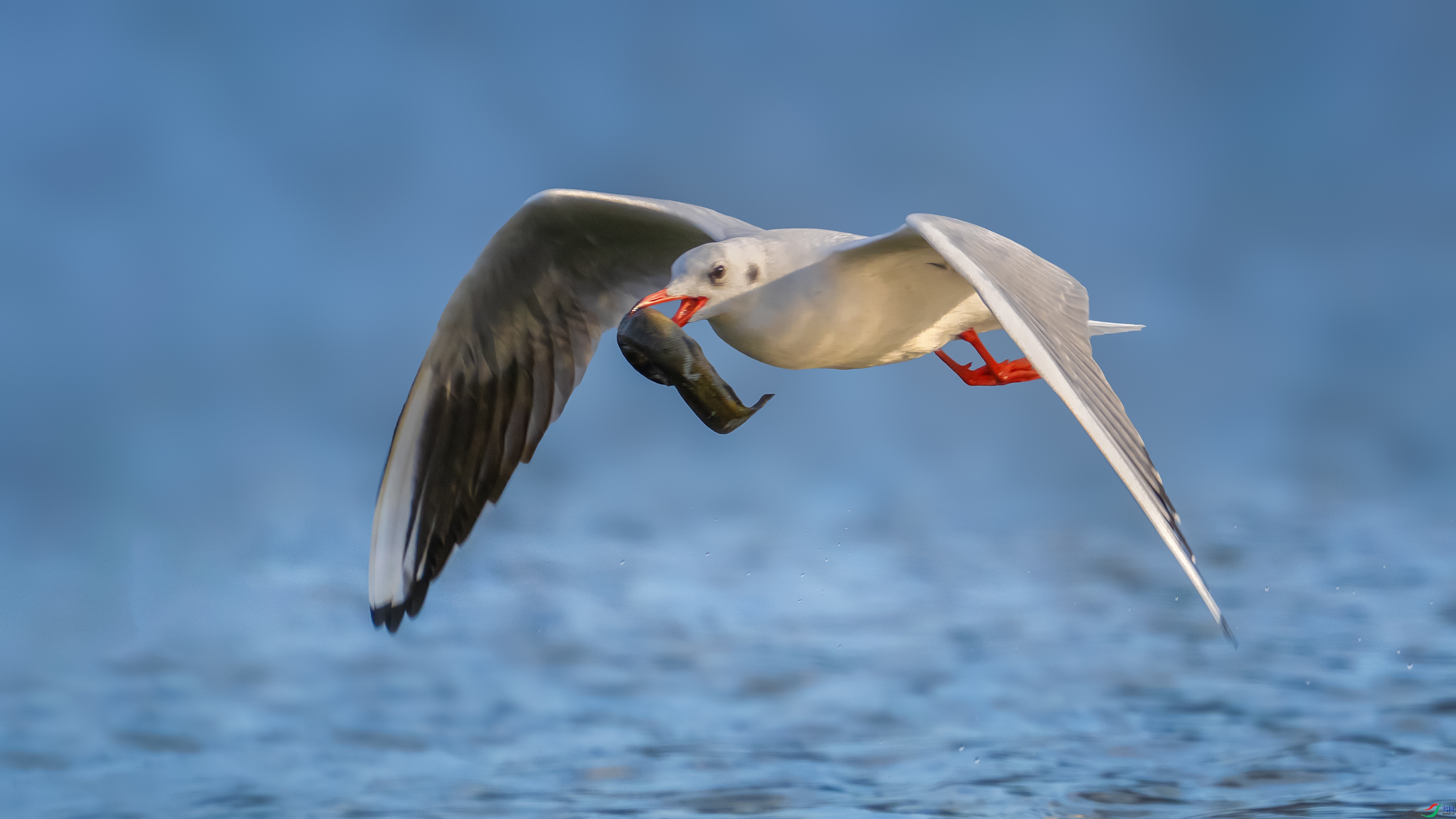 ���� ���� С�׺� ����.jpg