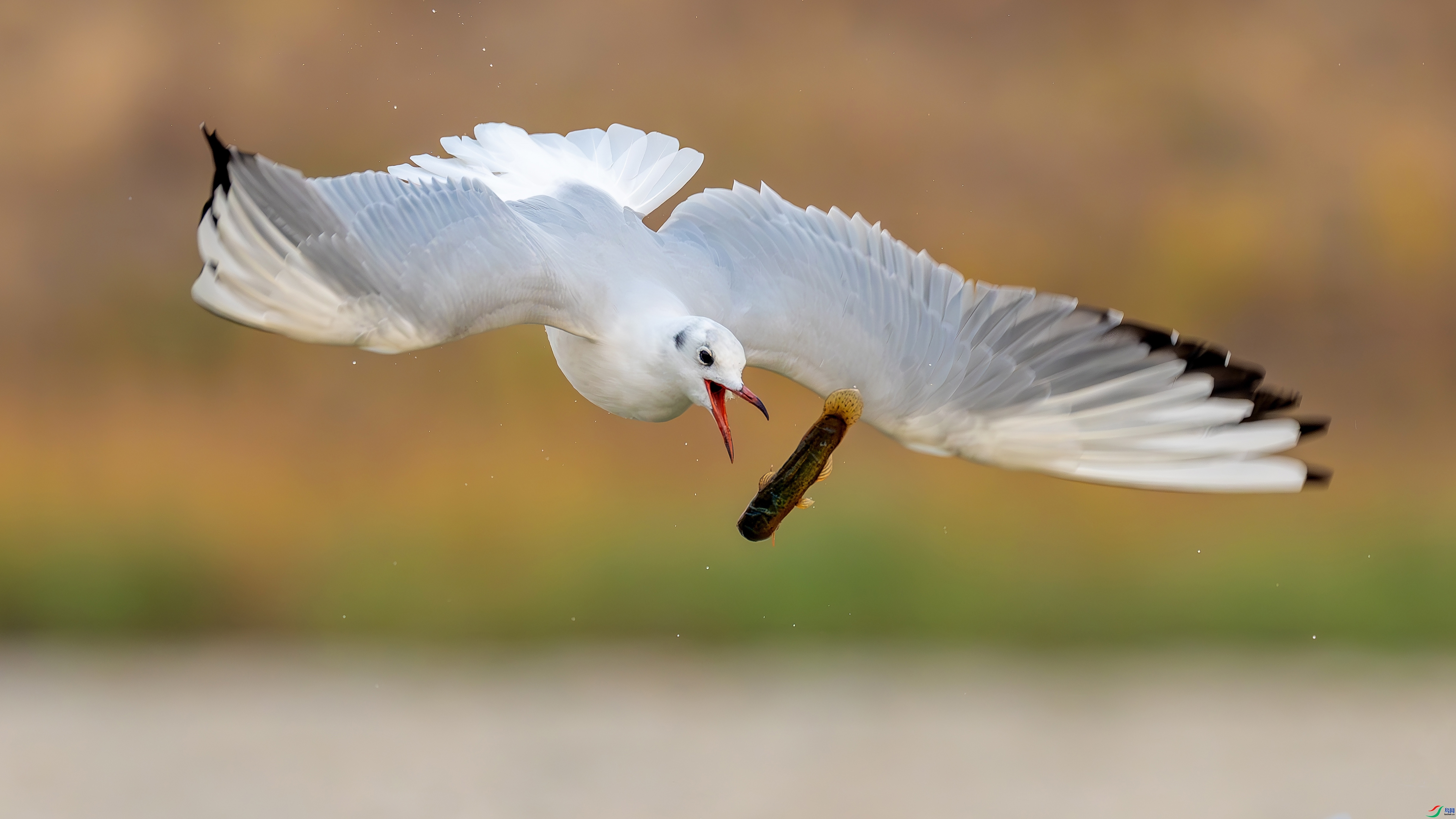 ���� ���� ������ ����.jpg